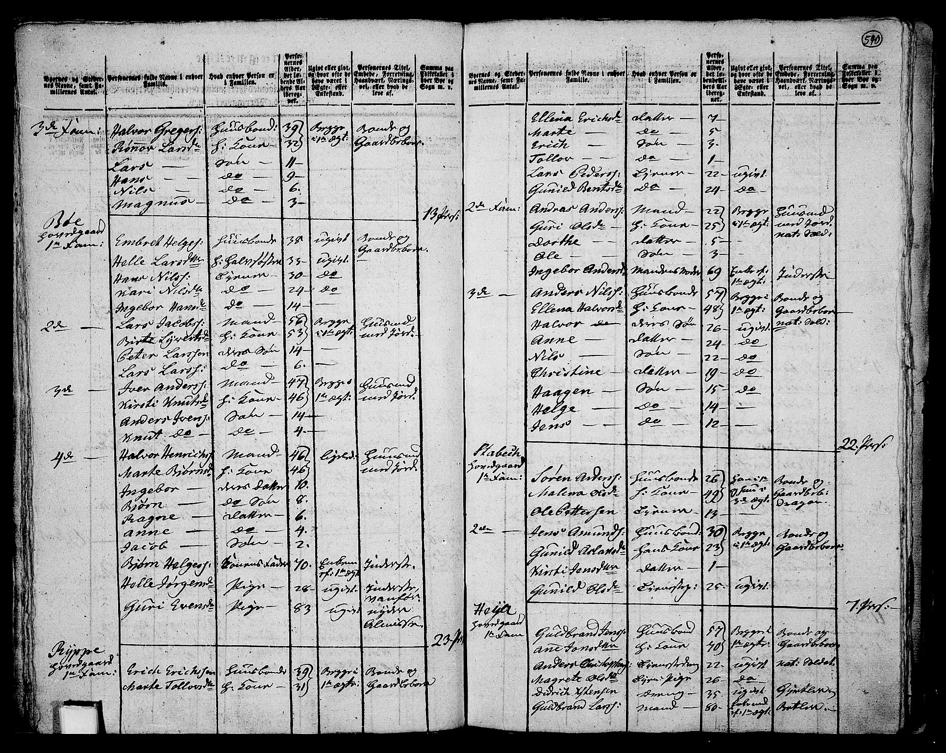 RA, 1801 census for 0626P Lier, 1801, p. 539b-540a