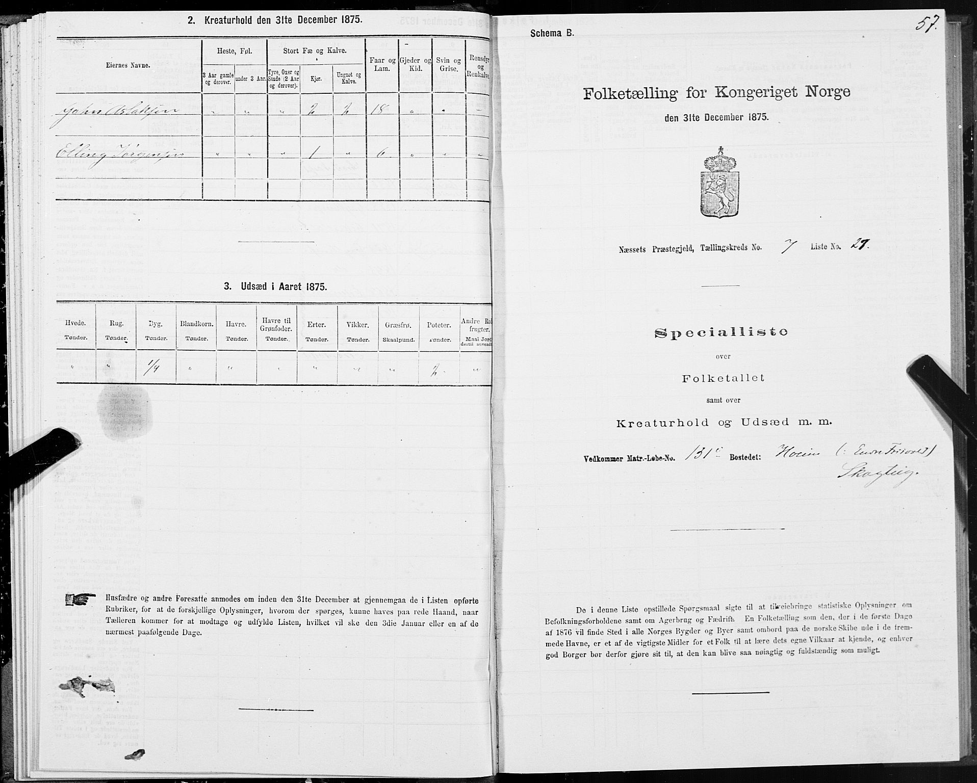 SAT, 1875 census for 1543P Nesset, 1875, p. 4057