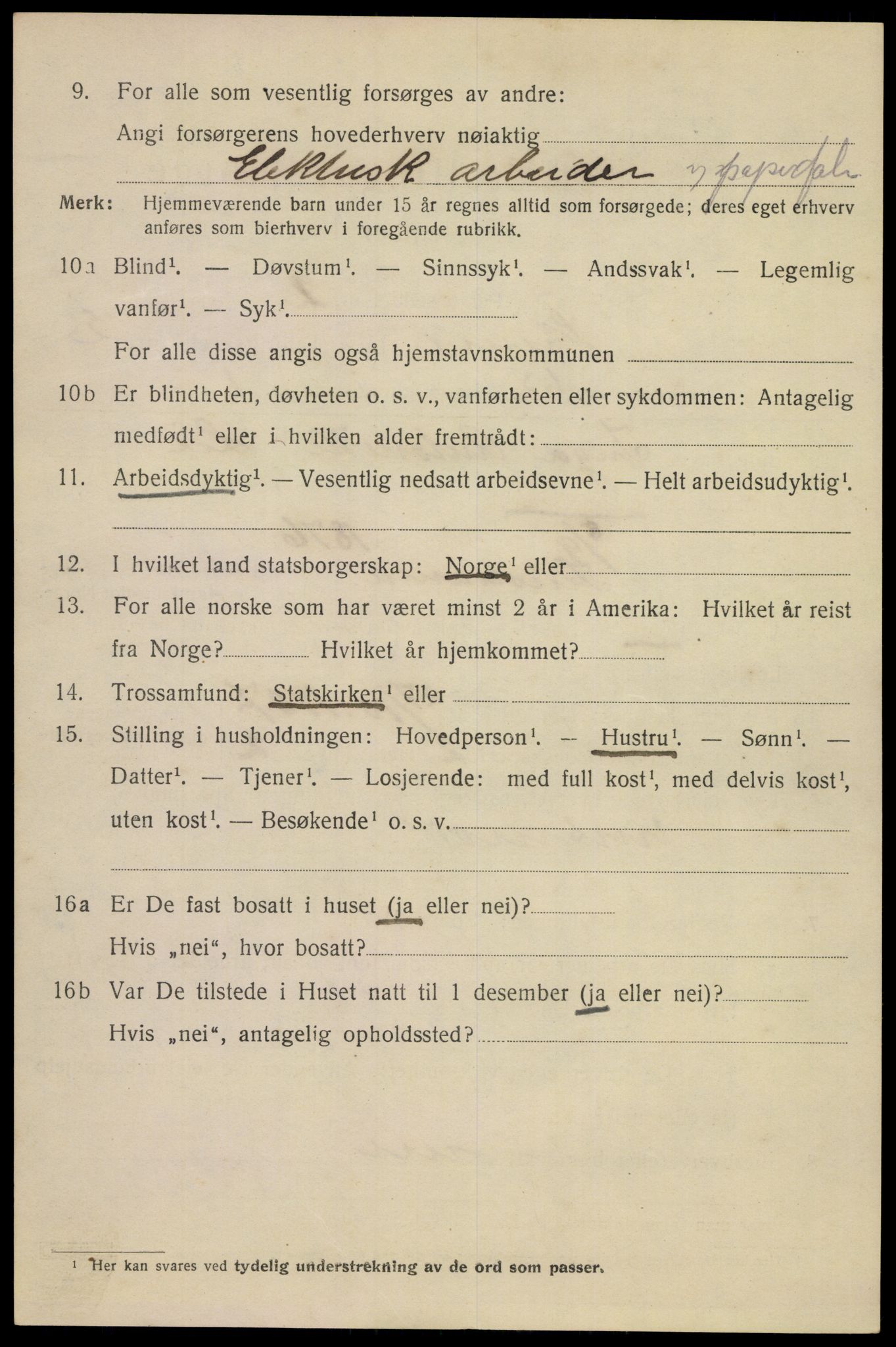 SAKO, 1920 census for Skien, 1920, p. 14347