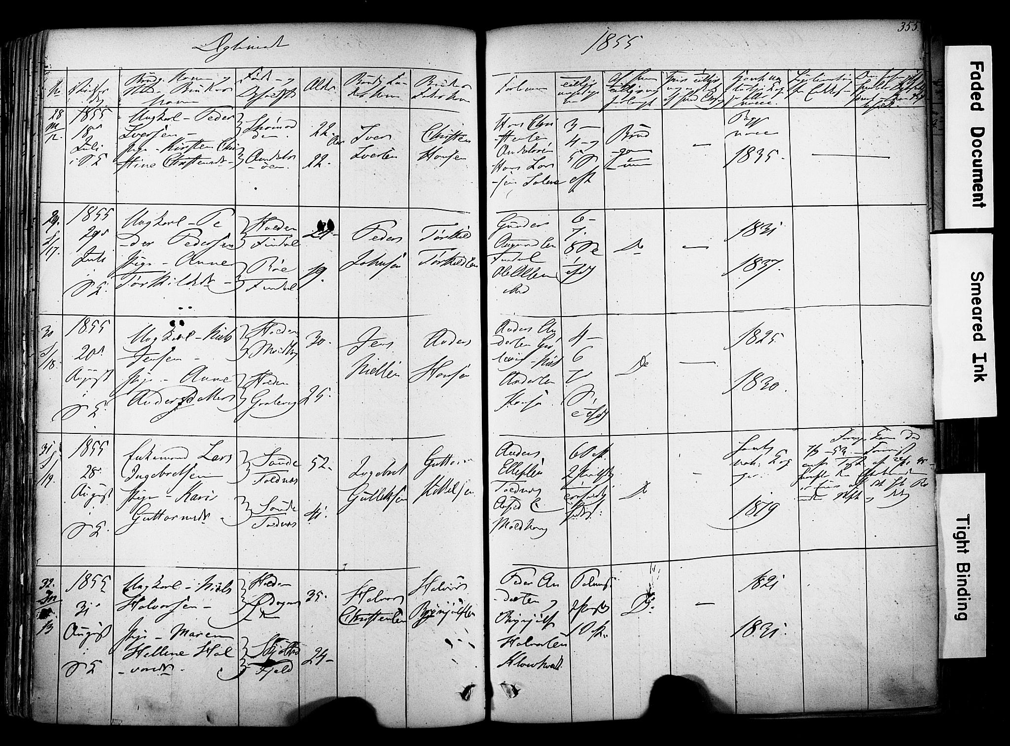 Solum kirkebøker, SAKO/A-306/F/Fa/L0006: Parish register (official) no. I 6, 1844-1855, p. 355