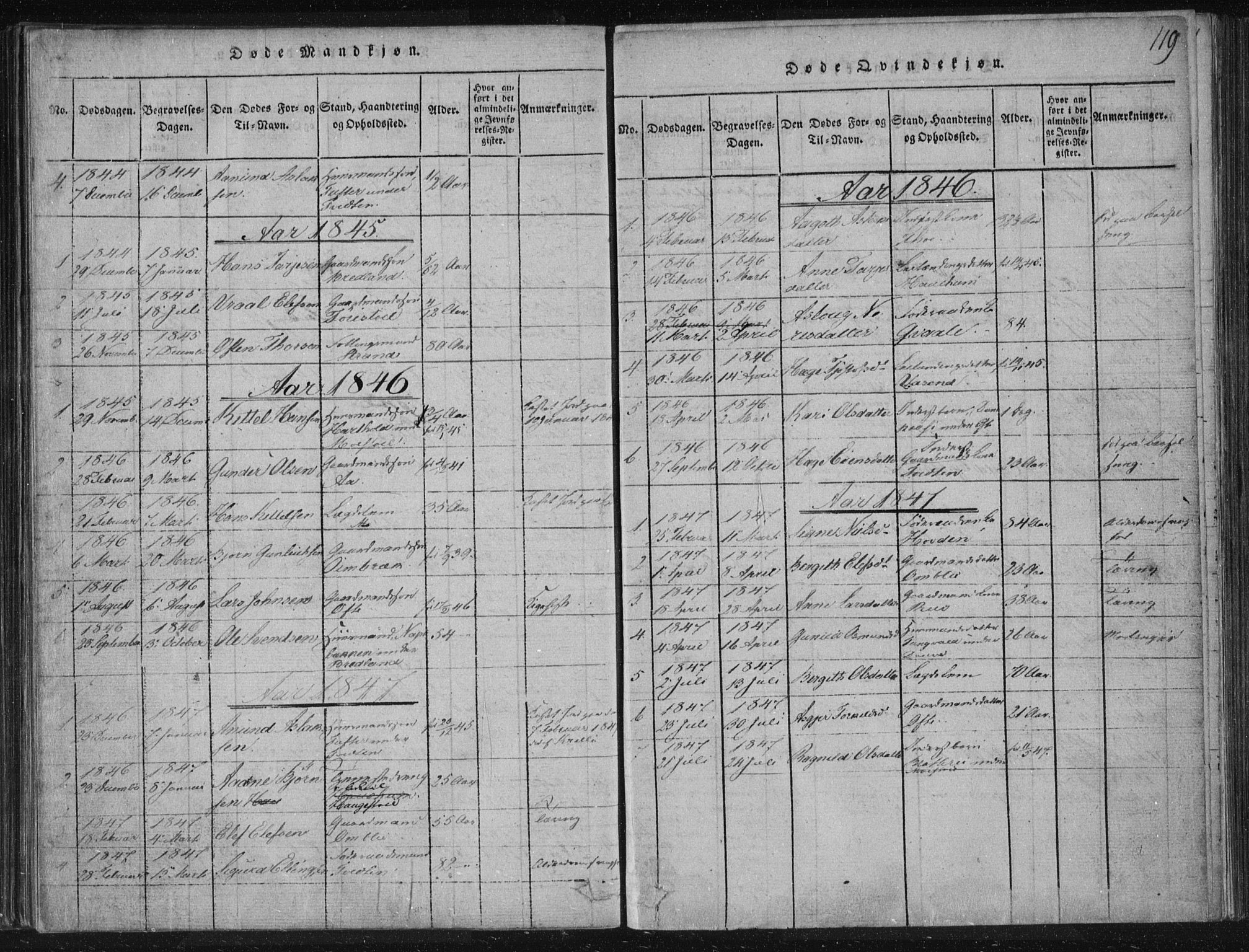Lårdal kirkebøker, SAKO/A-284/F/Fc/L0001: Parish register (official) no. III 1, 1815-1860, p. 119