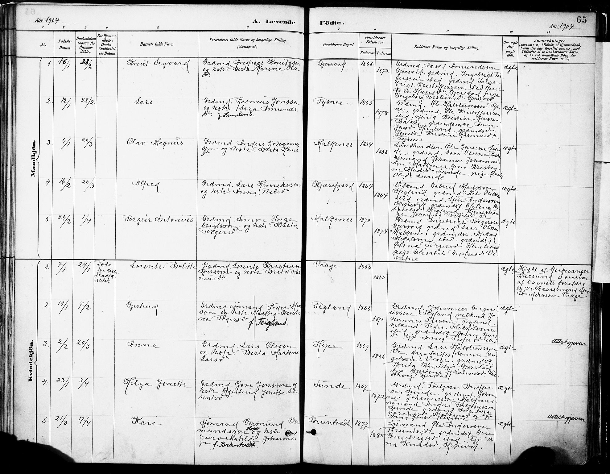 Tysnes sokneprestembete, SAB/A-78601/H/Haa: Parish register (official) no. B 1, 1887-1906, p. 65