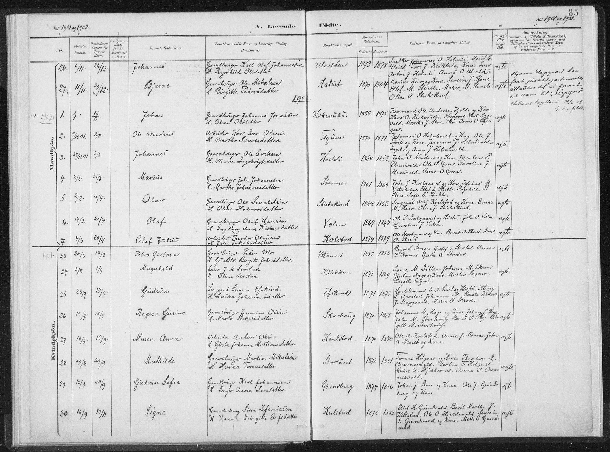 Ministerialprotokoller, klokkerbøker og fødselsregistre - Nord-Trøndelag, SAT/A-1458/724/L0263: Parish register (official) no. 724A01, 1891-1907, p. 35