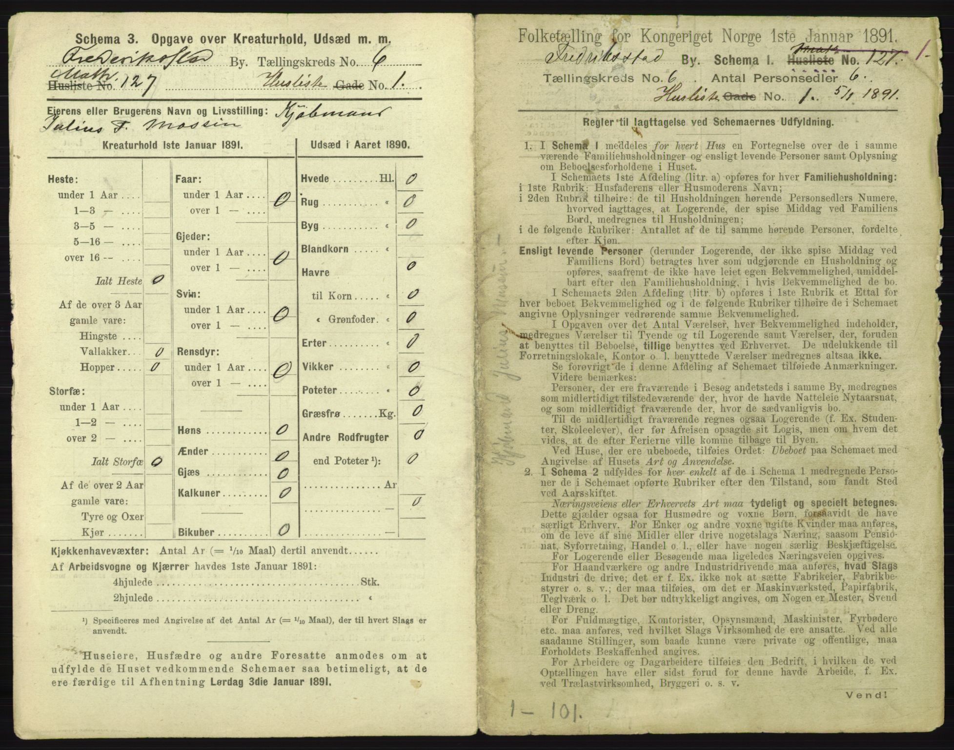 RA, 1891 census for 0103 Fredrikstad, 1891, p. 1116