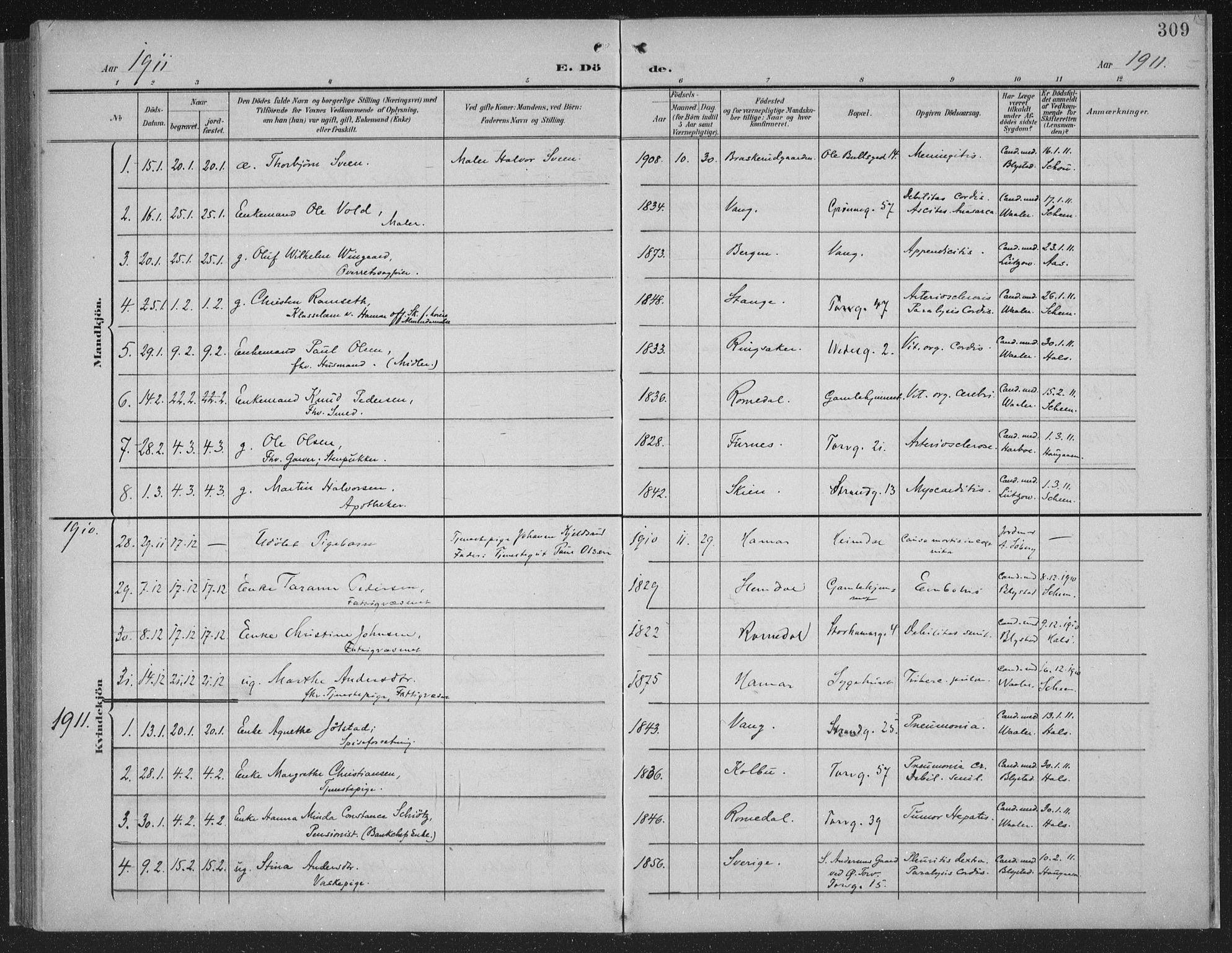 Hamar prestekontor, AV/SAH-DOMPH-002/H/Ha/Haa/L0001: Parish register (official) no. 1, 1900-1914, p. 309