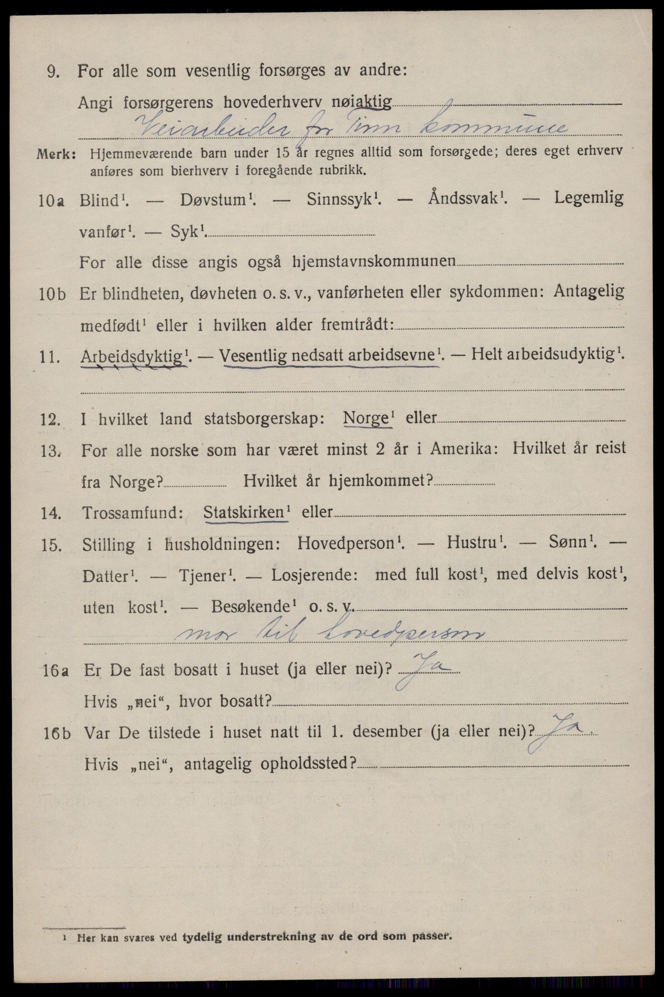 SAKO, 1920 census for Tinn, 1920, p. 4453