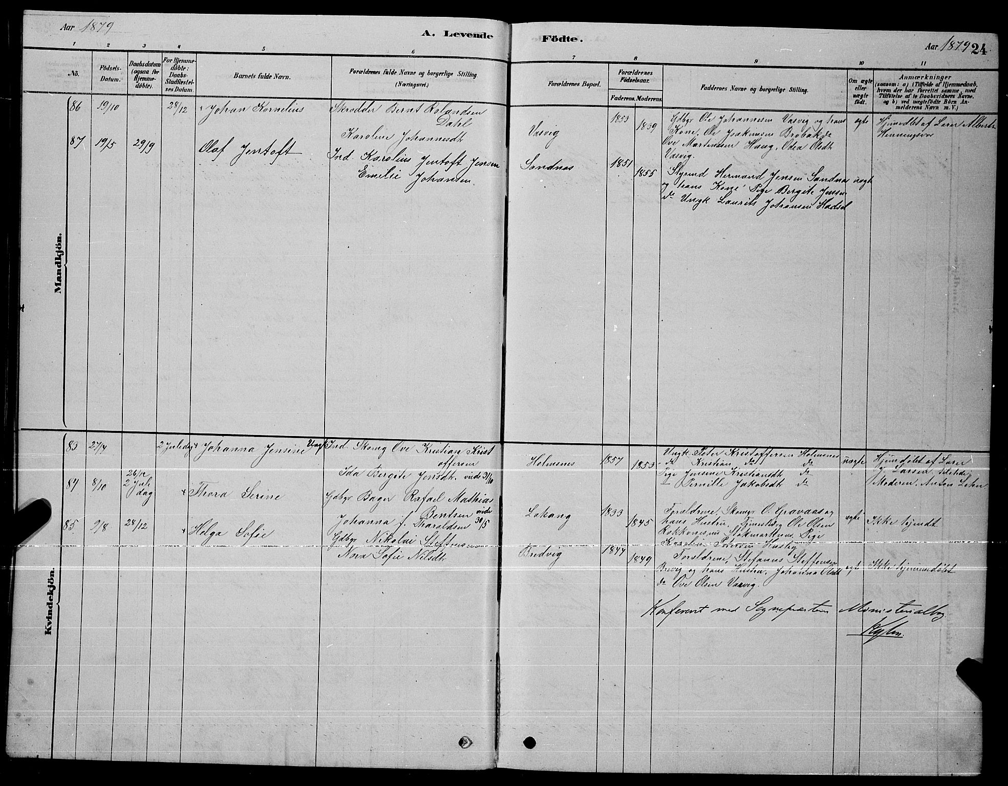 Ministerialprotokoller, klokkerbøker og fødselsregistre - Nordland, AV/SAT-A-1459/888/L1267: Parish register (copy) no. 888C05, 1878-1890, p. 24