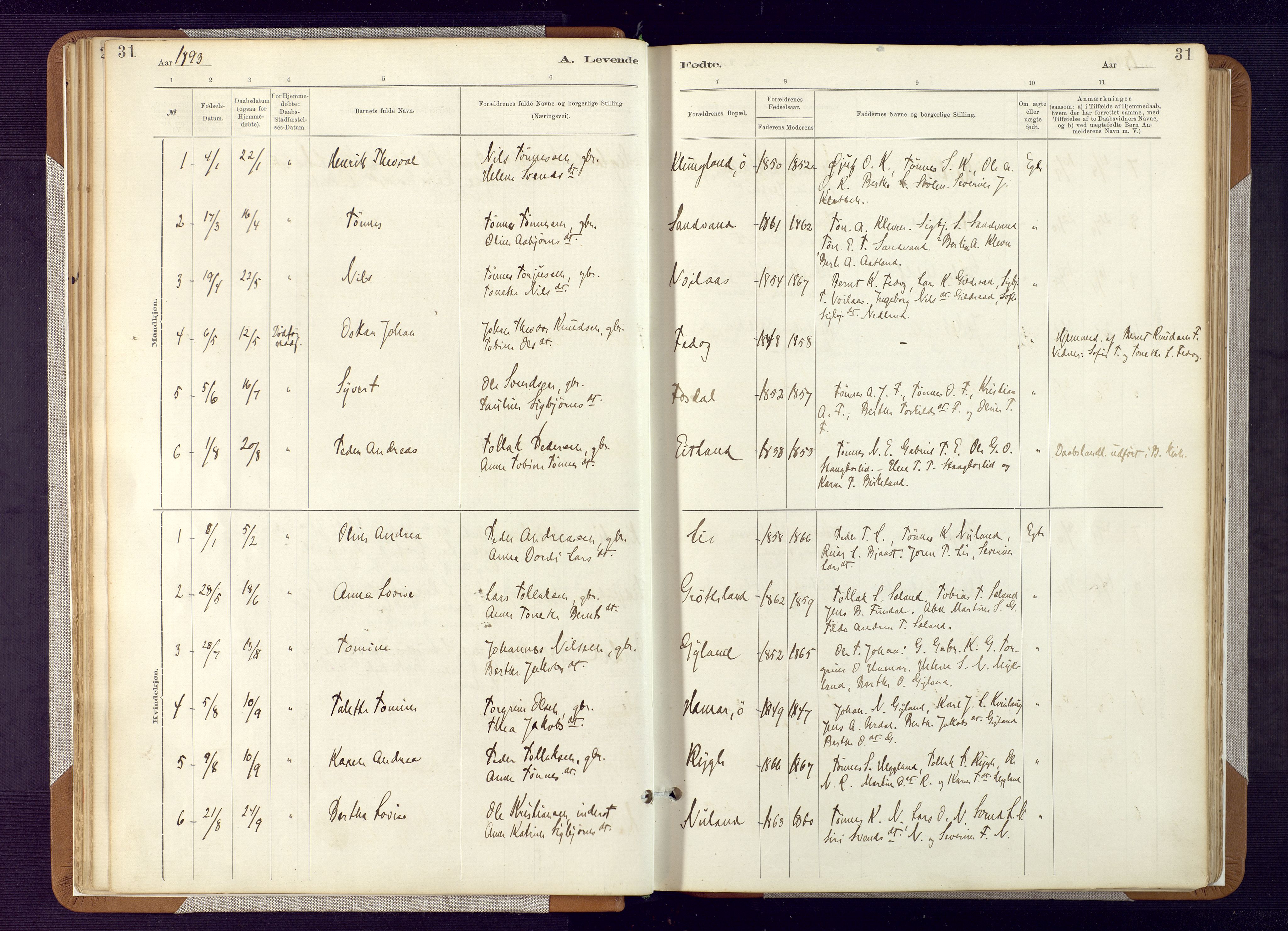 Bakke sokneprestkontor, SAK/1111-0002/F/Fa/Fab/L0003: Parish register (official) no. A 3, 1884-1921, p. 31