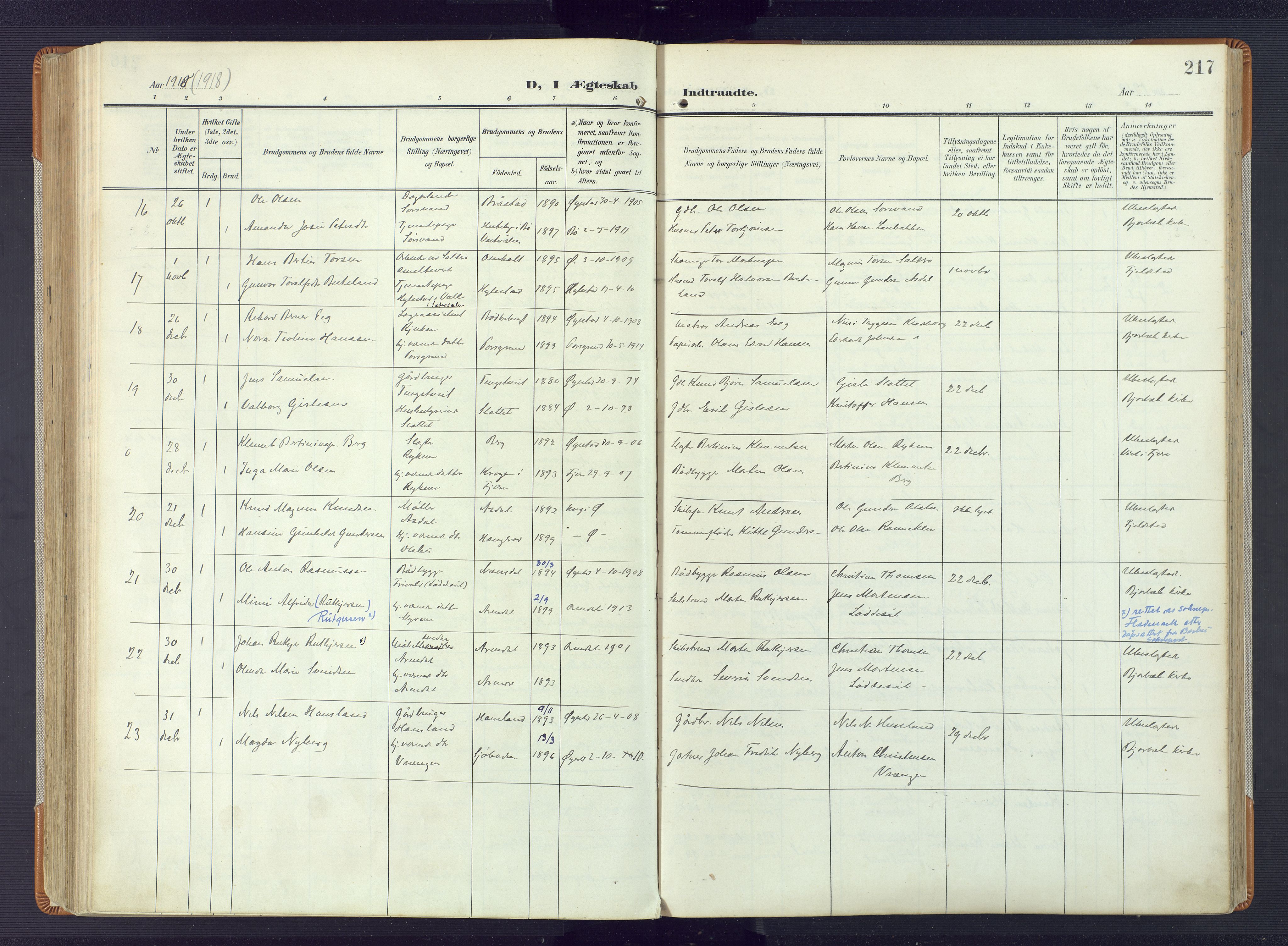 Øyestad sokneprestkontor, AV/SAK-1111-0049/F/Fa/L0019: Parish register (official) no. A 19, 1908-1922, p. 217