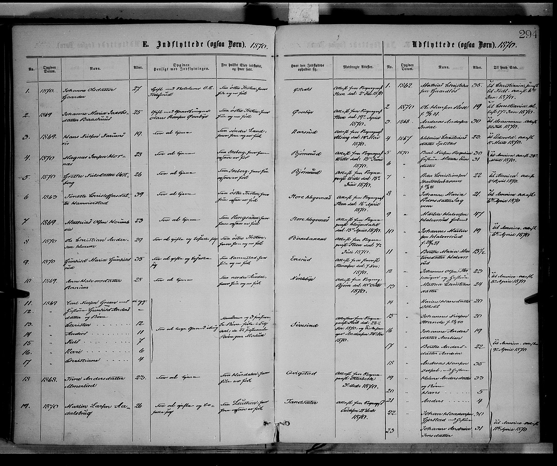 Vestre Toten prestekontor, SAH/PREST-108/H/Ha/Haa/L0008: Parish register (official) no. 8, 1870-1877, p. 294