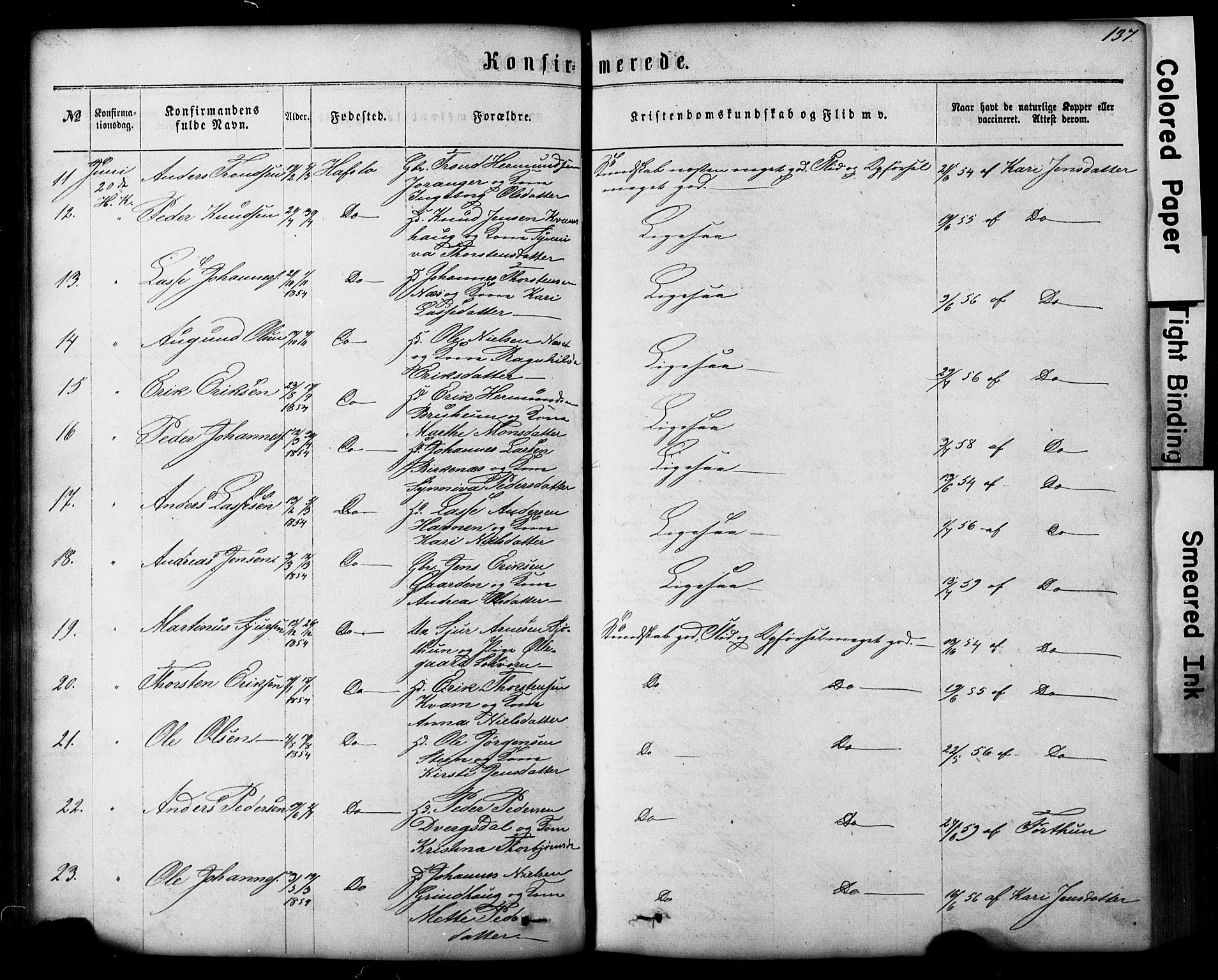 Hafslo sokneprestembete, AV/SAB-A-80301/H/Hab/Haba/L0001: Parish register (copy) no. A 1, 1866-1908, p. 137