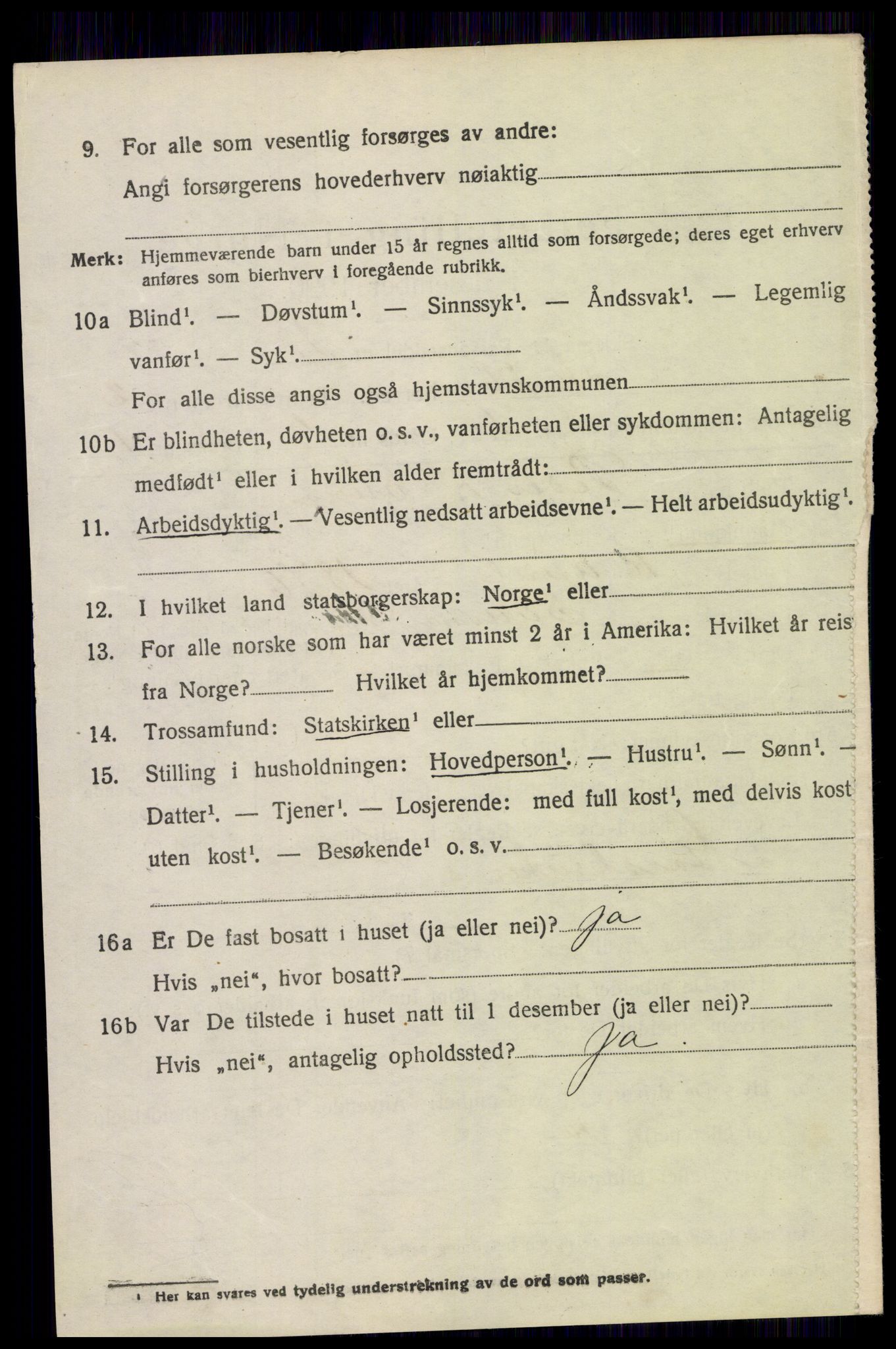 SAH, 1920 census for Skjåk, 1920, p. 1077