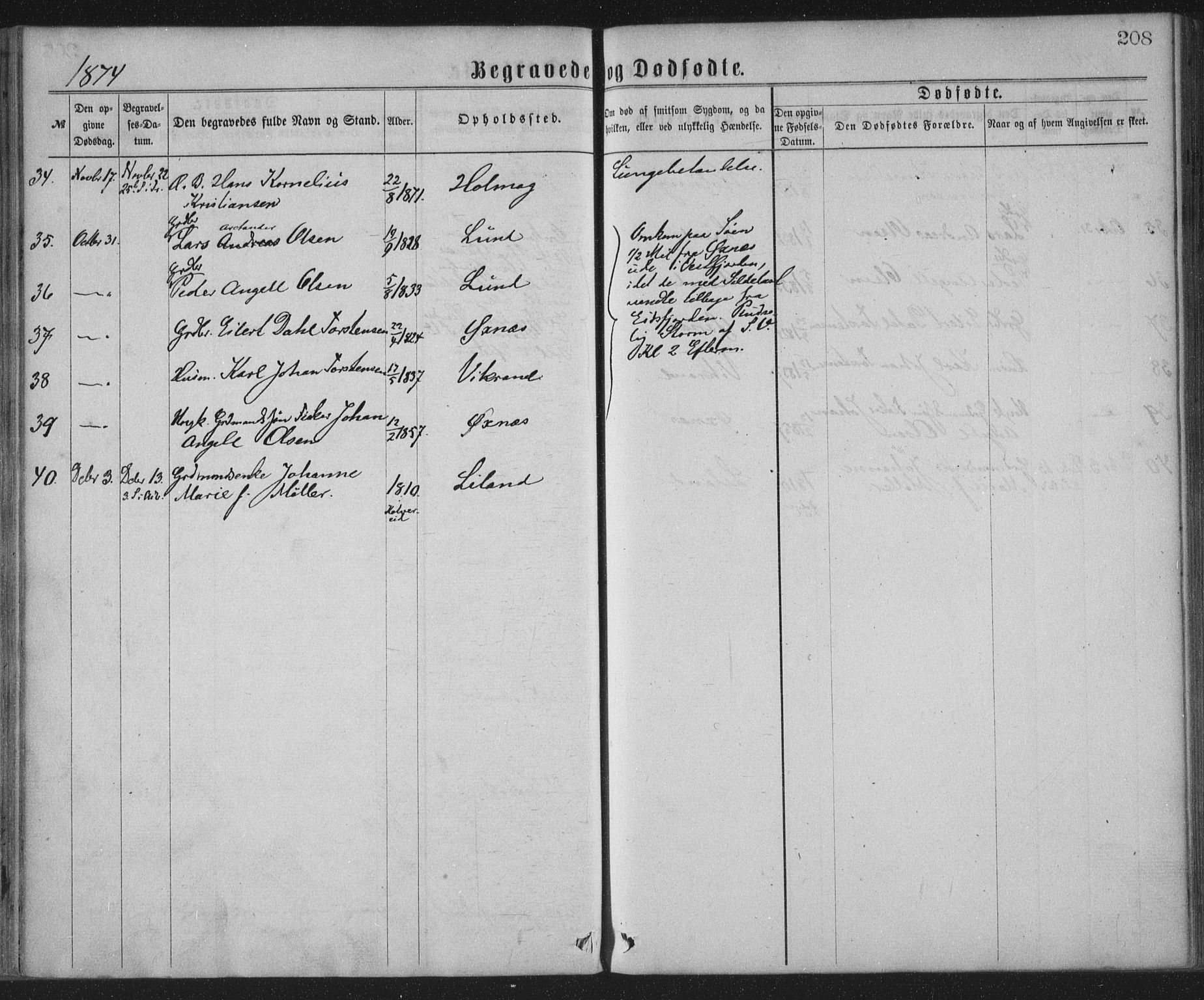 Ministerialprotokoller, klokkerbøker og fødselsregistre - Nordland, AV/SAT-A-1459/855/L0801: Parish register (official) no. 855A09, 1864-1874, p. 208