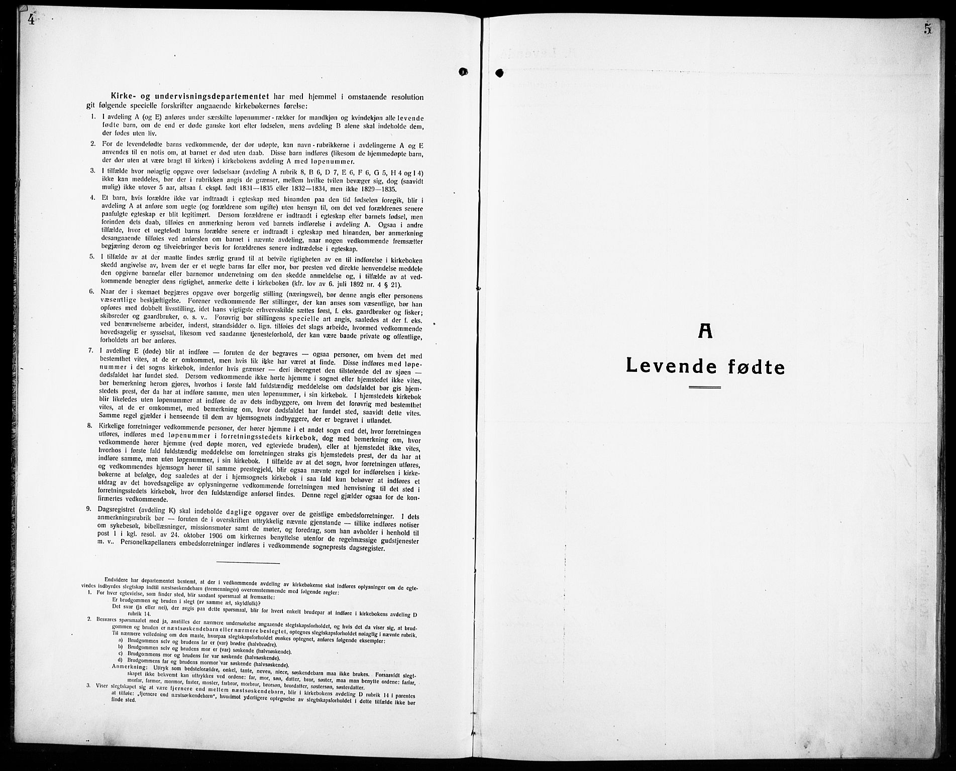 Nord-Audnedal sokneprestkontor, SAK/1111-0032/F/Fb/Fba/L0005: Parish register (copy) no. B 5, 1918-1932, p. 4-5