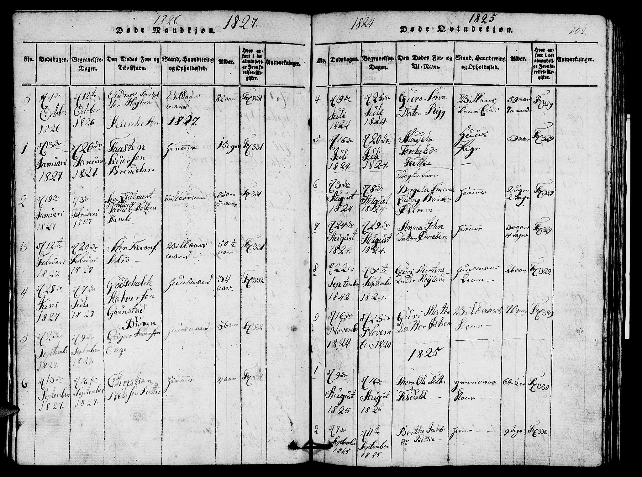 Etne sokneprestembete, SAB/A-75001/H/Hab: Parish register (copy) no. A 1, 1815-1849, p. 102