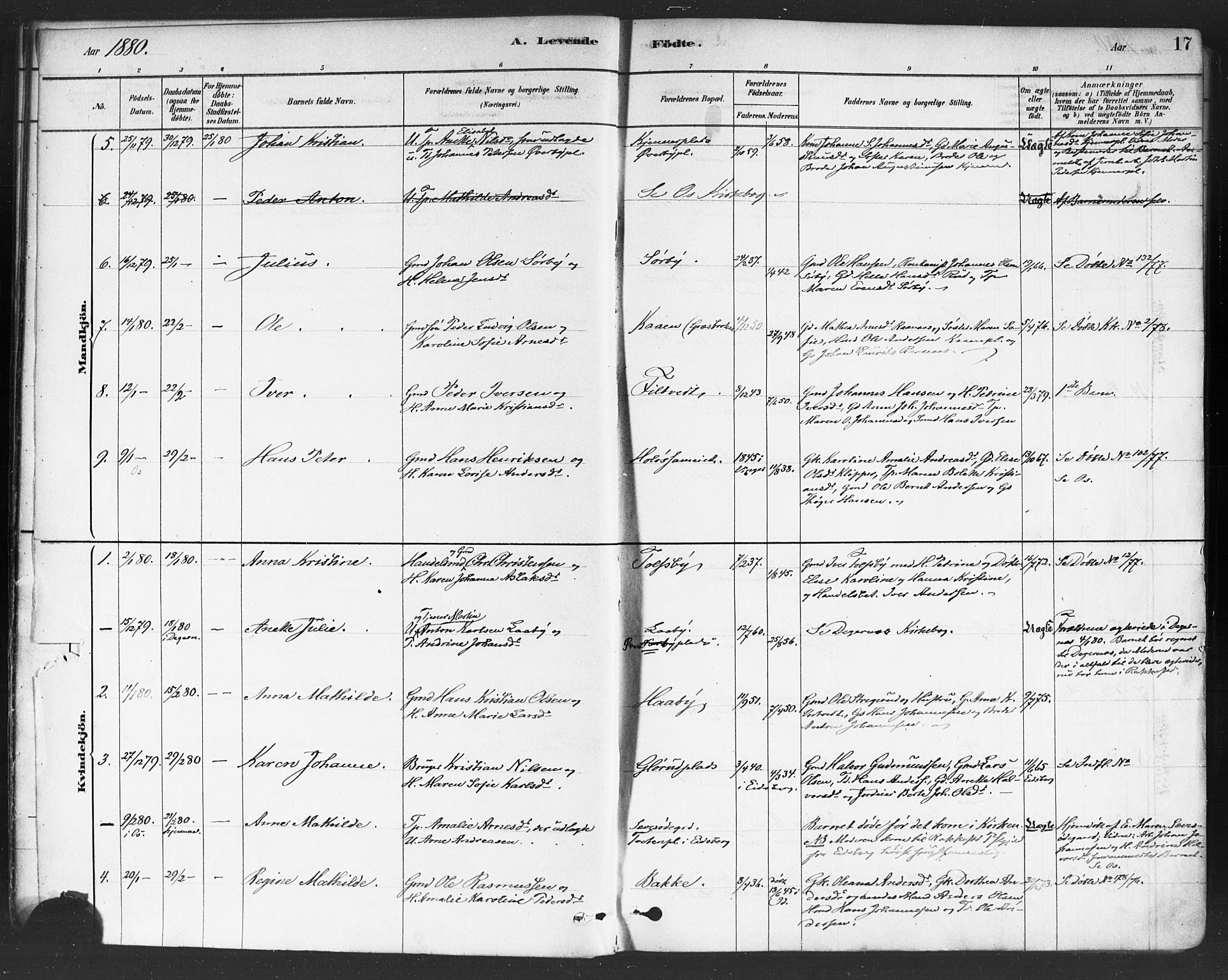 Rakkestad prestekontor Kirkebøker, AV/SAO-A-2008/F/Fa/L0012: Parish register (official) no. I 12, 1878-1893, p. 17