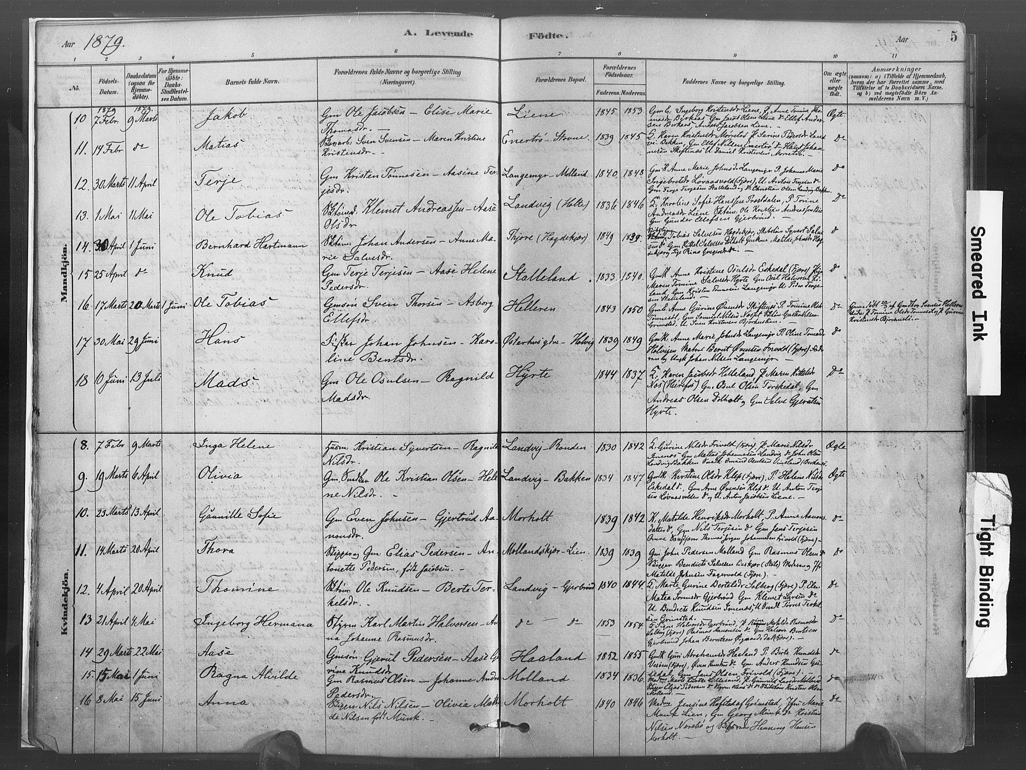 Hommedal sokneprestkontor, AV/SAK-1111-0023/F/Fa/Fab/L0006: Parish register (official) no. A 6, 1878-1897, p. 5