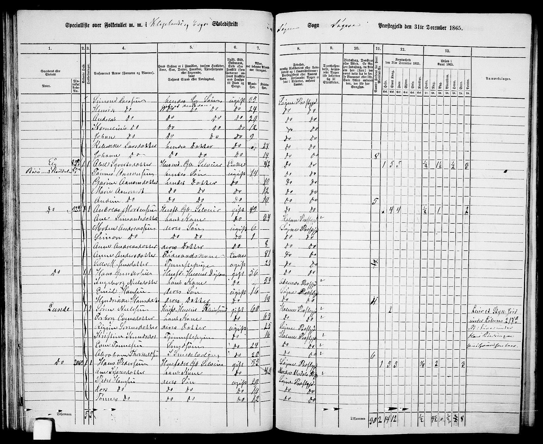 RA, 1865 census for Søgne, 1865, p. 64