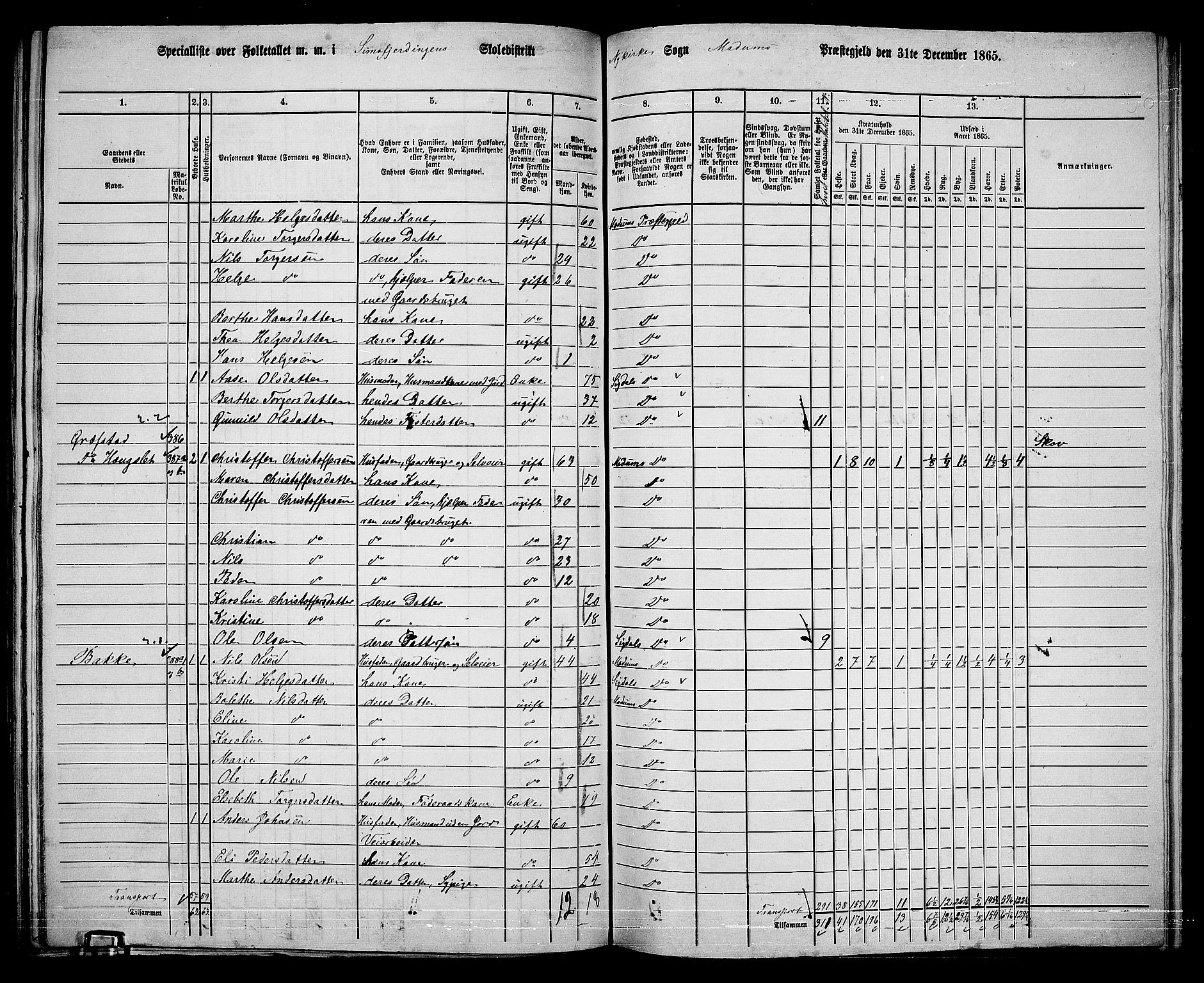 RA, 1865 census for Modum, 1865, p. 266