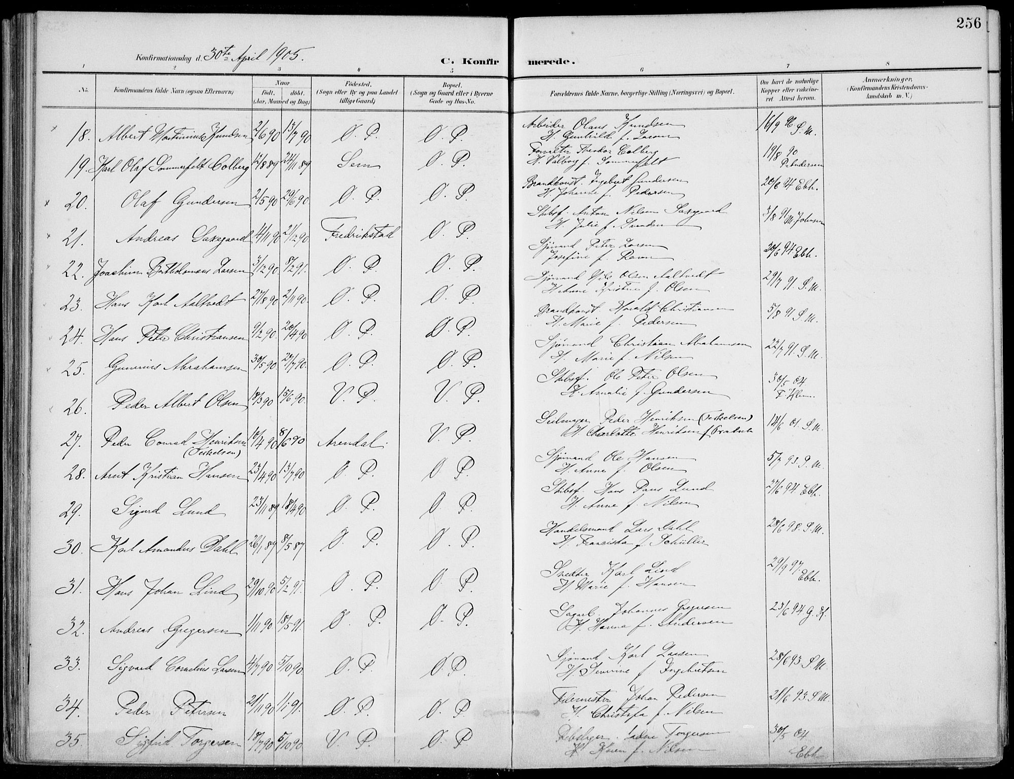 Porsgrunn kirkebøker , AV/SAKO-A-104/F/Fa/L0011: Parish register (official) no. 11, 1895-1919, p. 256