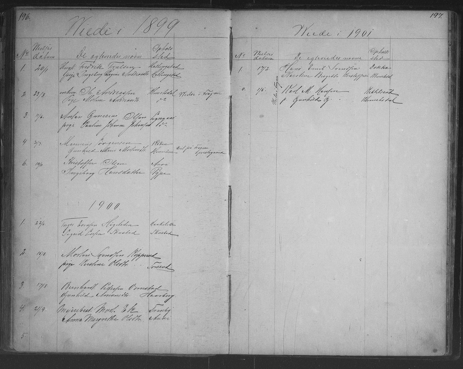 Lier kirkebøker, SAKO/A-230/G/Gc/L0001: Parish register (copy) no. III 1, 1873-1903, p. 196-197