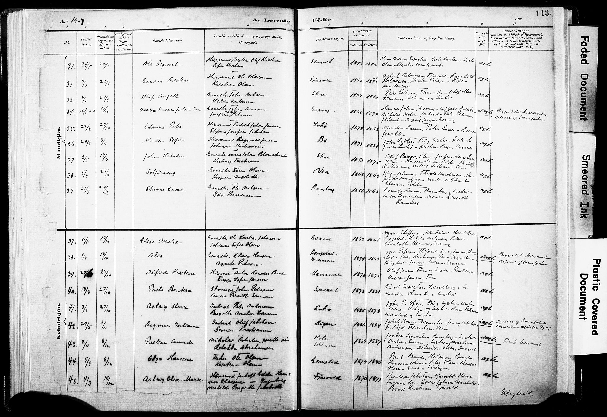 Ministerialprotokoller, klokkerbøker og fødselsregistre - Nordland, SAT/A-1459/891/L1304: Parish register (official) no. 891A09, 1895-1921, p. 113