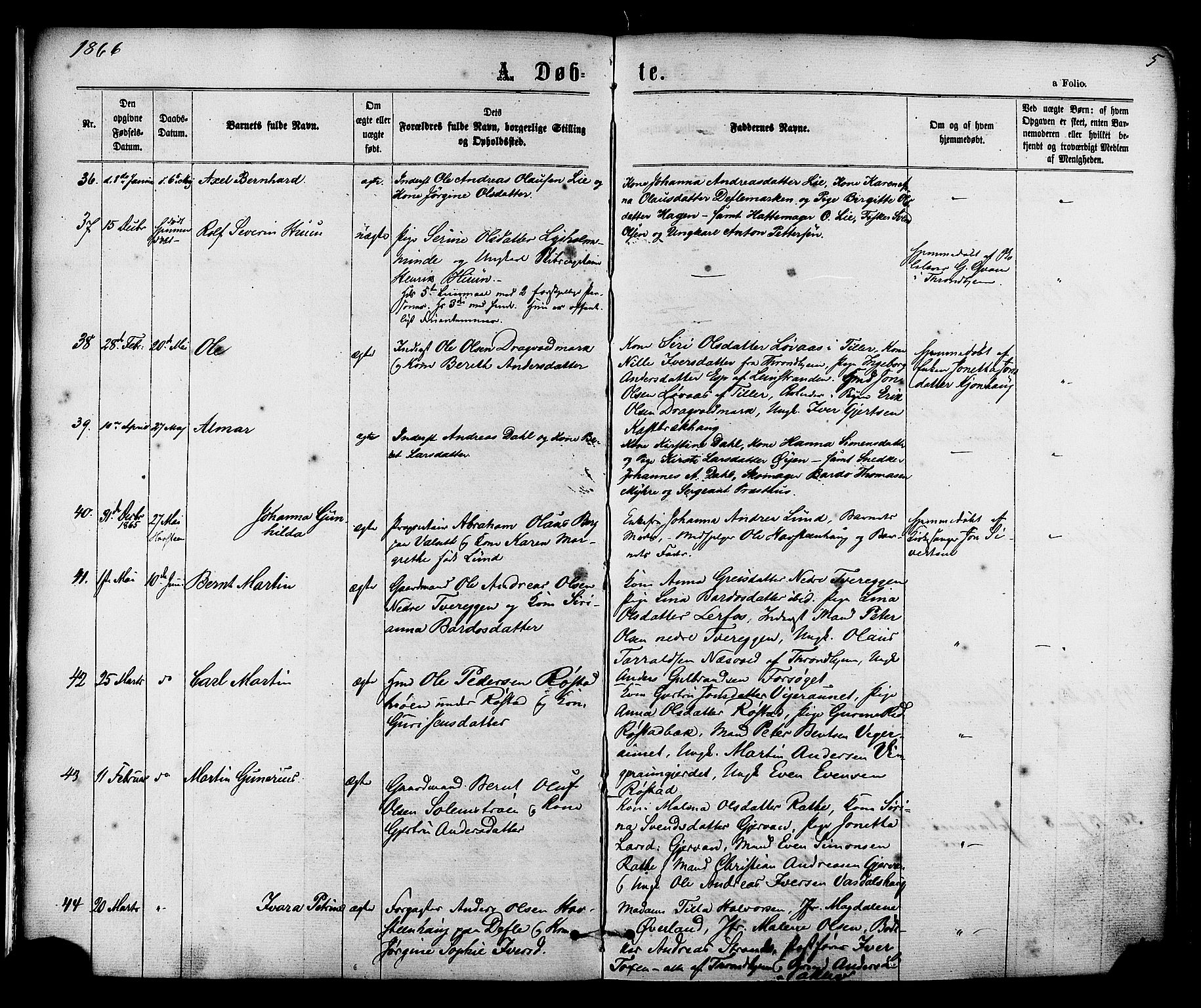 Ministerialprotokoller, klokkerbøker og fødselsregistre - Sør-Trøndelag, AV/SAT-A-1456/606/L0293: Parish register (official) no. 606A08, 1866-1877, p. 5