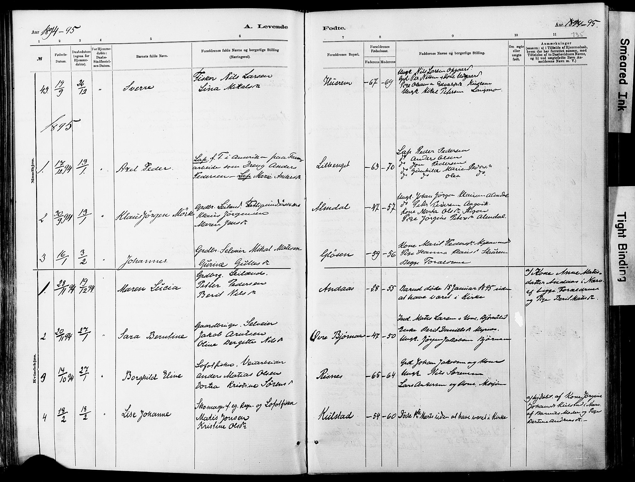 Ministerialprotokoller, klokkerbøker og fødselsregistre - Nordland, SAT/A-1459/820/L0295: Parish register (official) no. 820A16, 1880-1896, p. 135
