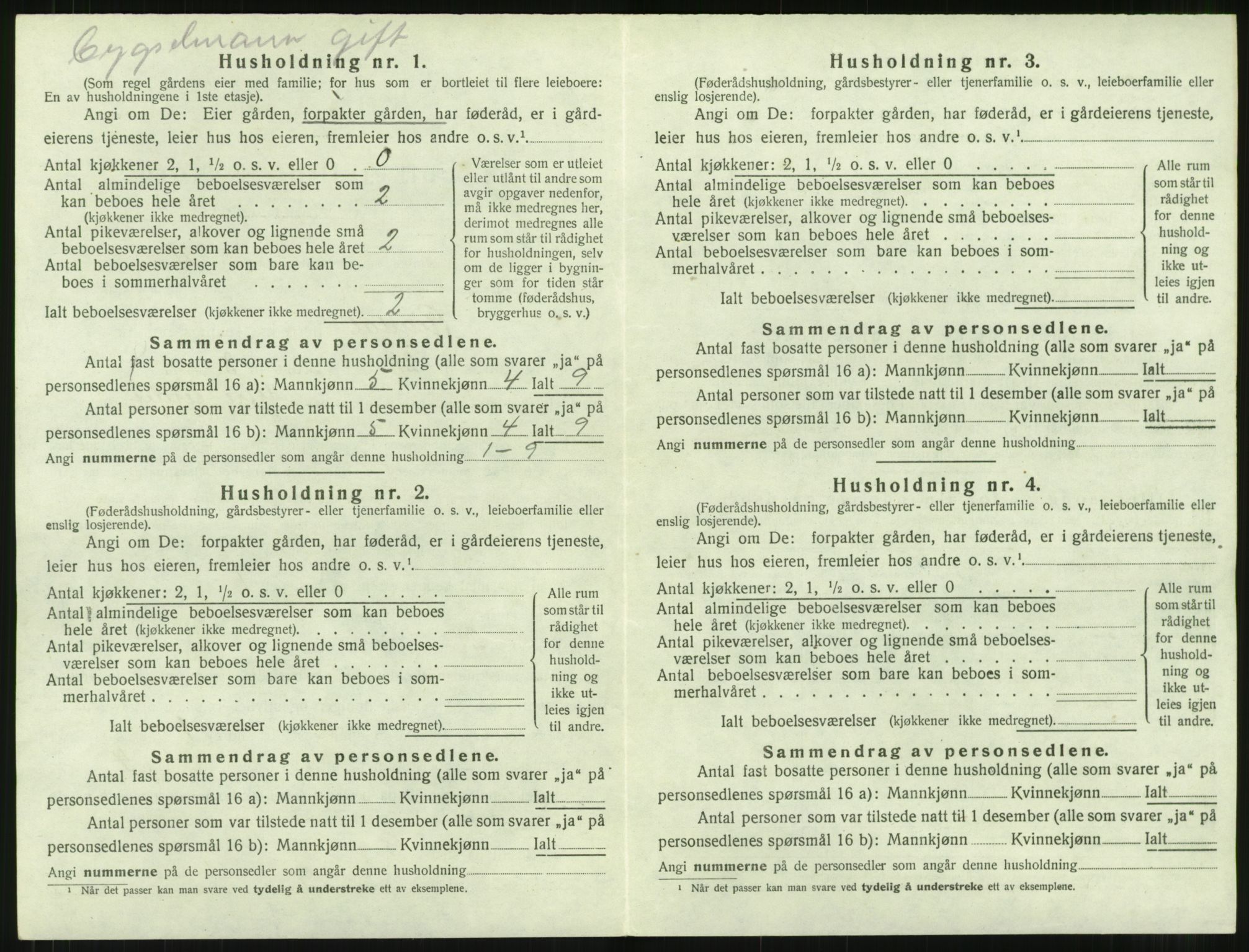 SAT, 1920 census for Rindal, 1920, p. 331