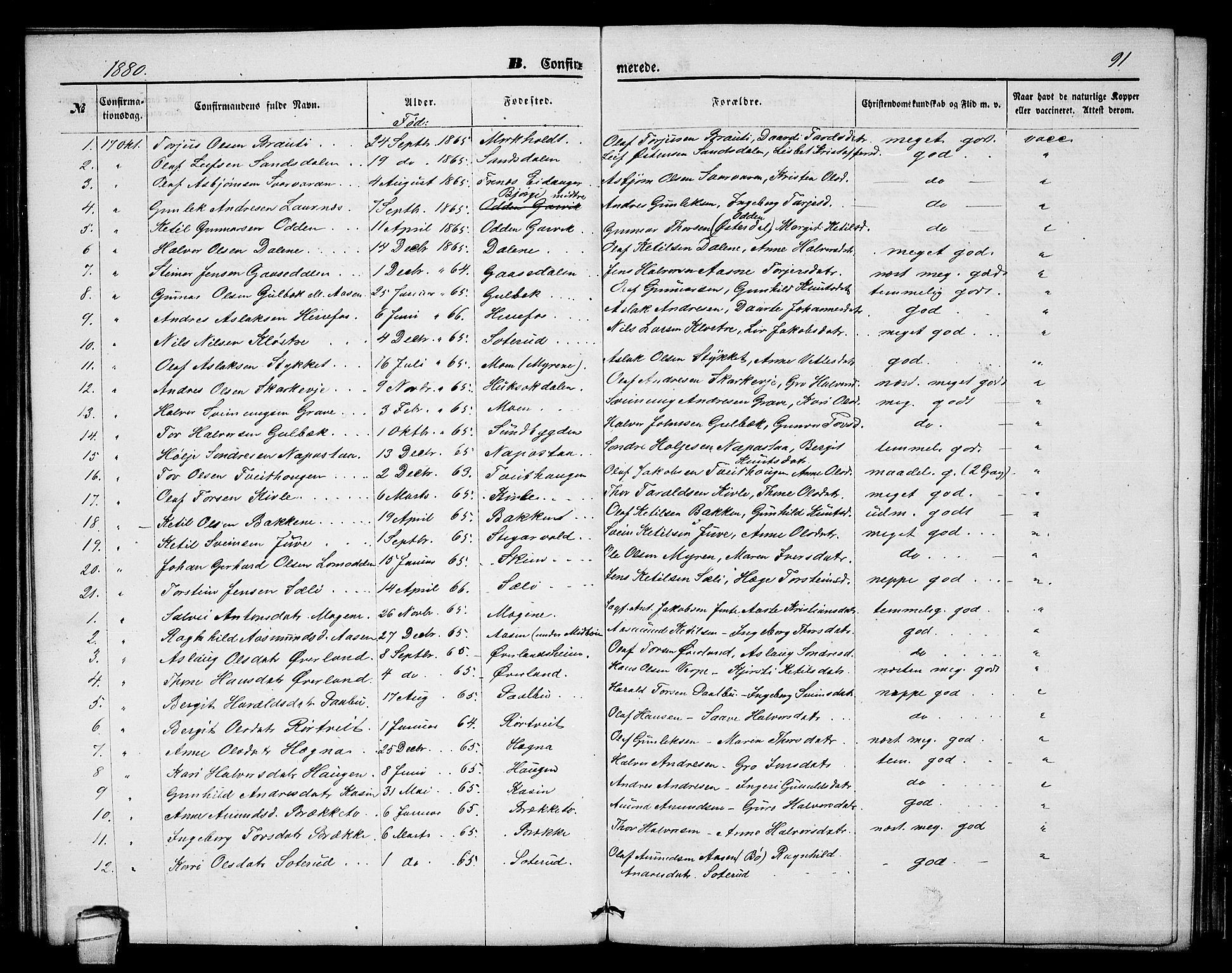 Seljord kirkebøker, SAKO/A-20/G/Ga/L0004: Parish register (copy) no. I 4, 1873-1886, p. 91