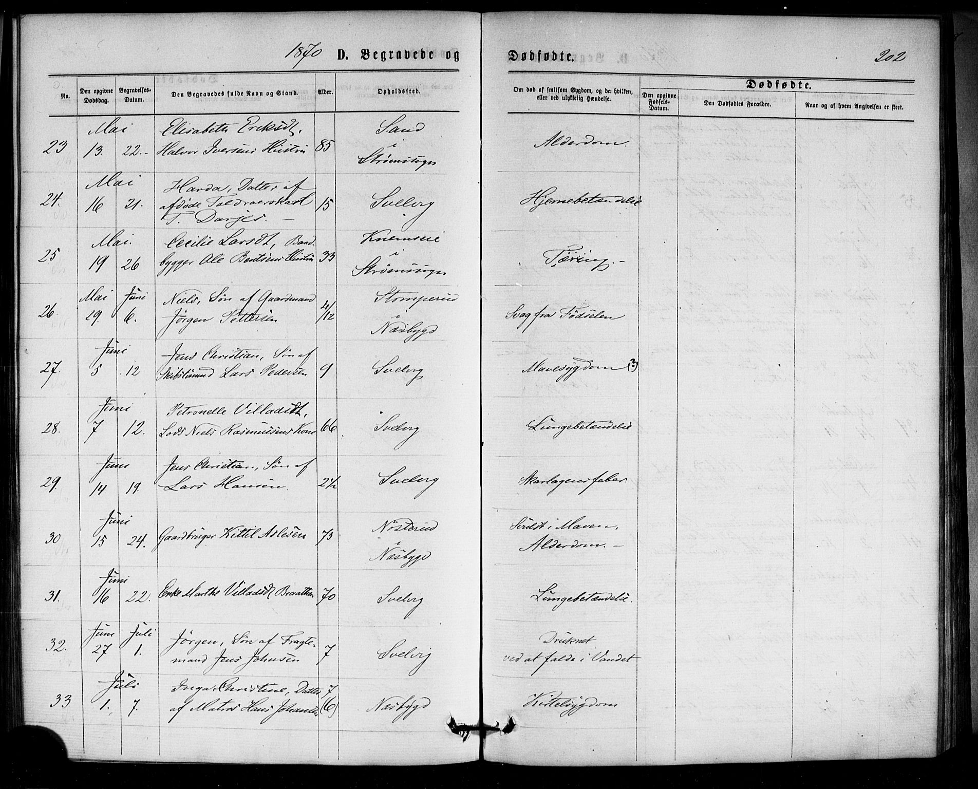 Strømm kirkebøker, SAKO/A-322/F/Fa/L0002: Parish register (official) no. I 2, 1870-1877, p. 202