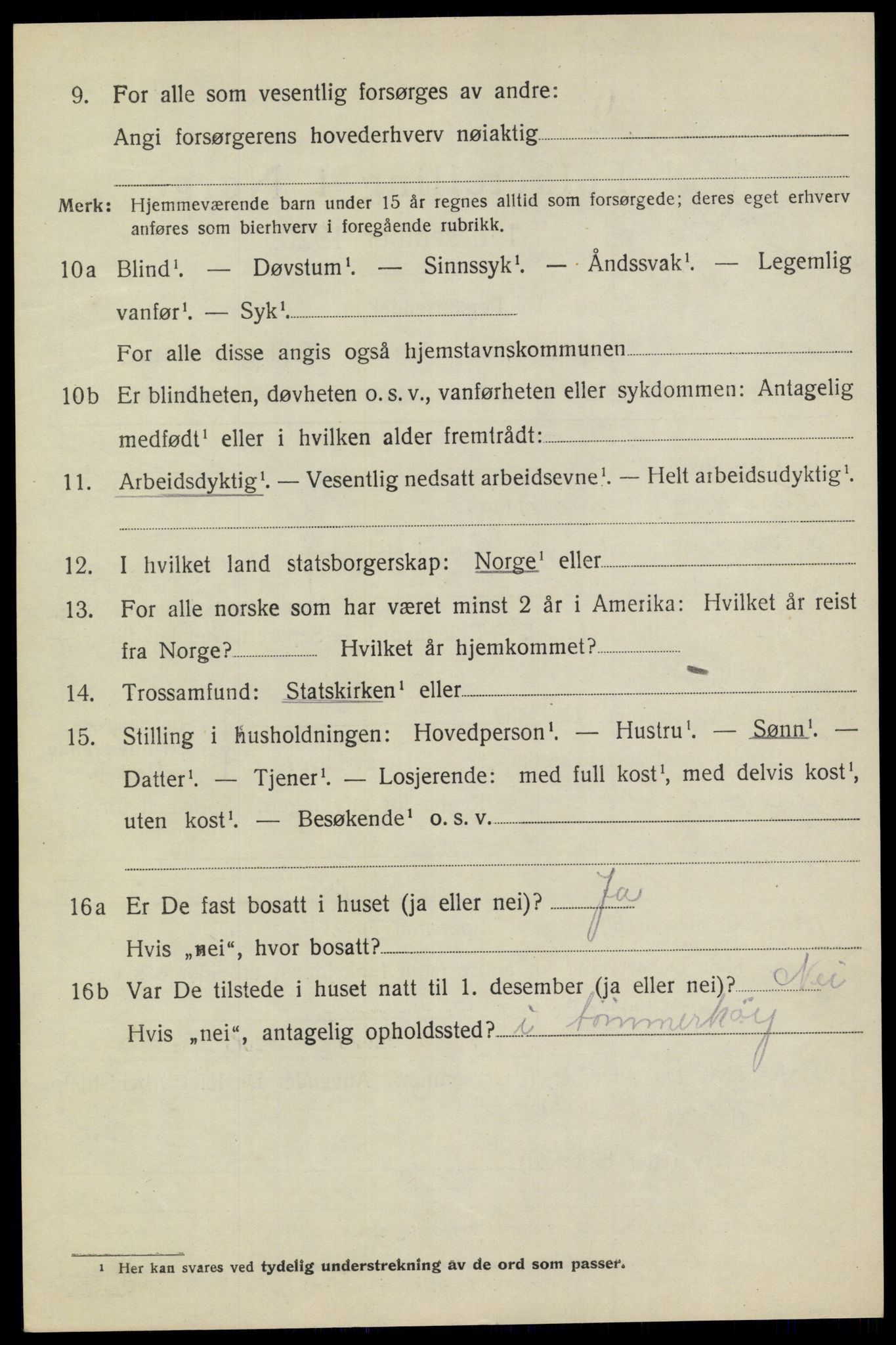 SAKO, 1920 census for Heddal, 1920, p. 6097