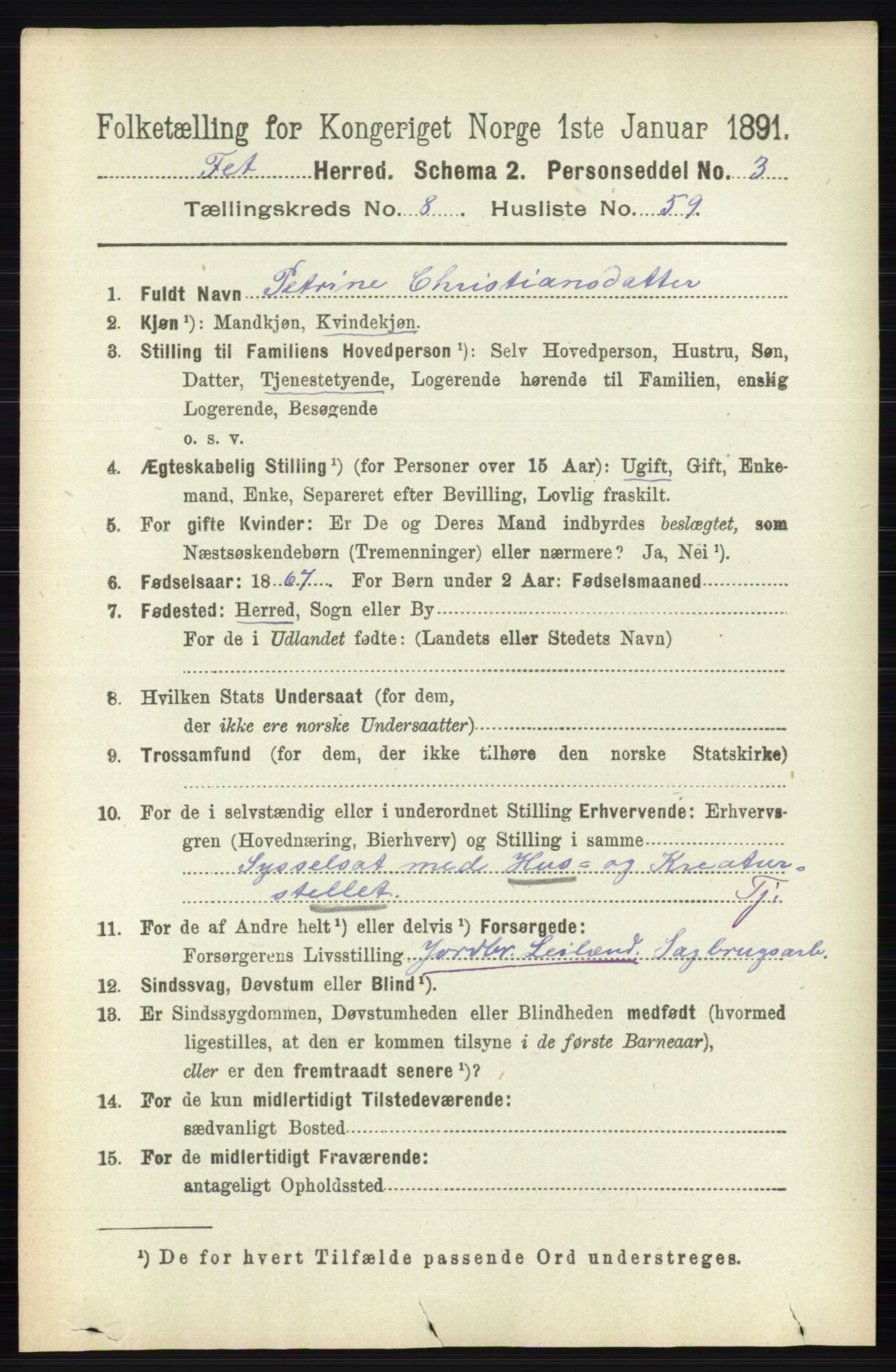 RA, 1891 census for 0227 Fet, 1891, p. 3405