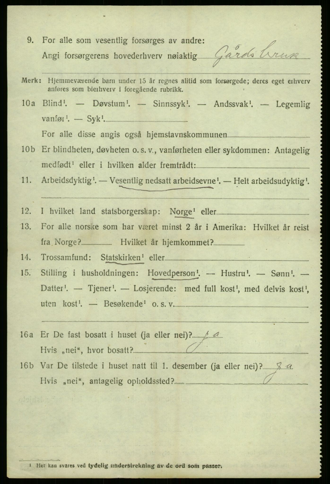 SAB, 1920 census for Hafslo, 1920, p. 2047