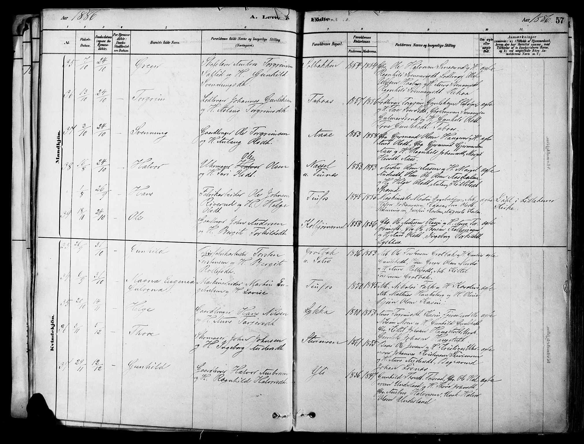 Heddal kirkebøker, SAKO/A-268/F/Fa/L0008: Parish register (official) no. I 8, 1878-1903, p. 57