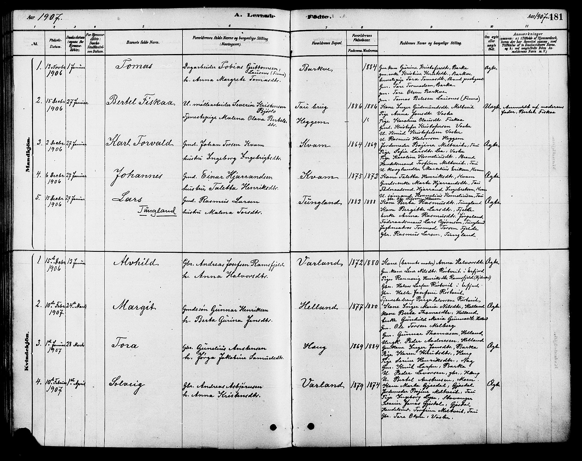 Strand sokneprestkontor, SAST/A-101828/H/Ha/Haa/L0009: Parish register (official) no. A 9, 1877-1908, p. 181