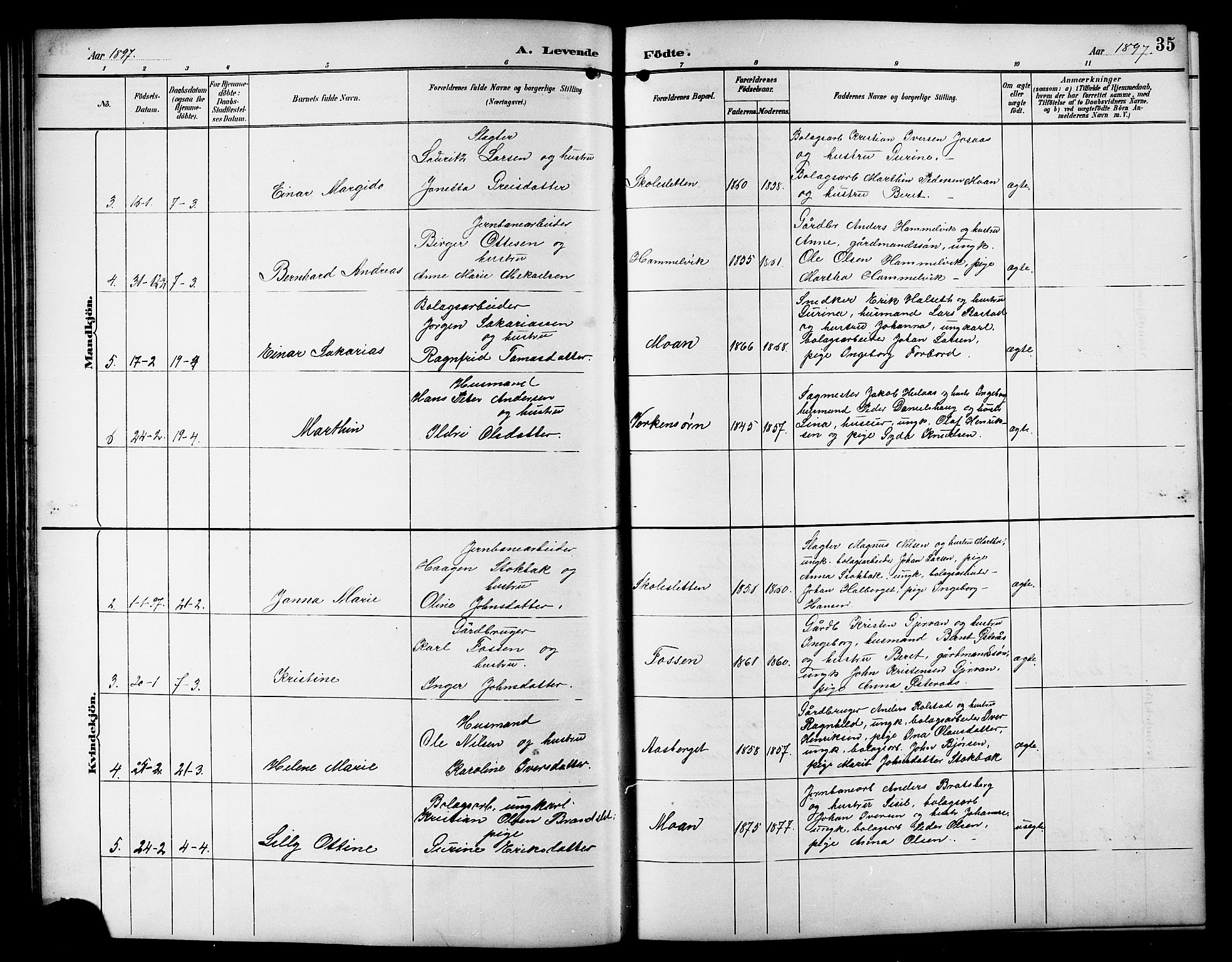 Ministerialprotokoller, klokkerbøker og fødselsregistre - Sør-Trøndelag, AV/SAT-A-1456/617/L0431: Parish register (copy) no. 617C01, 1889-1910, p. 35