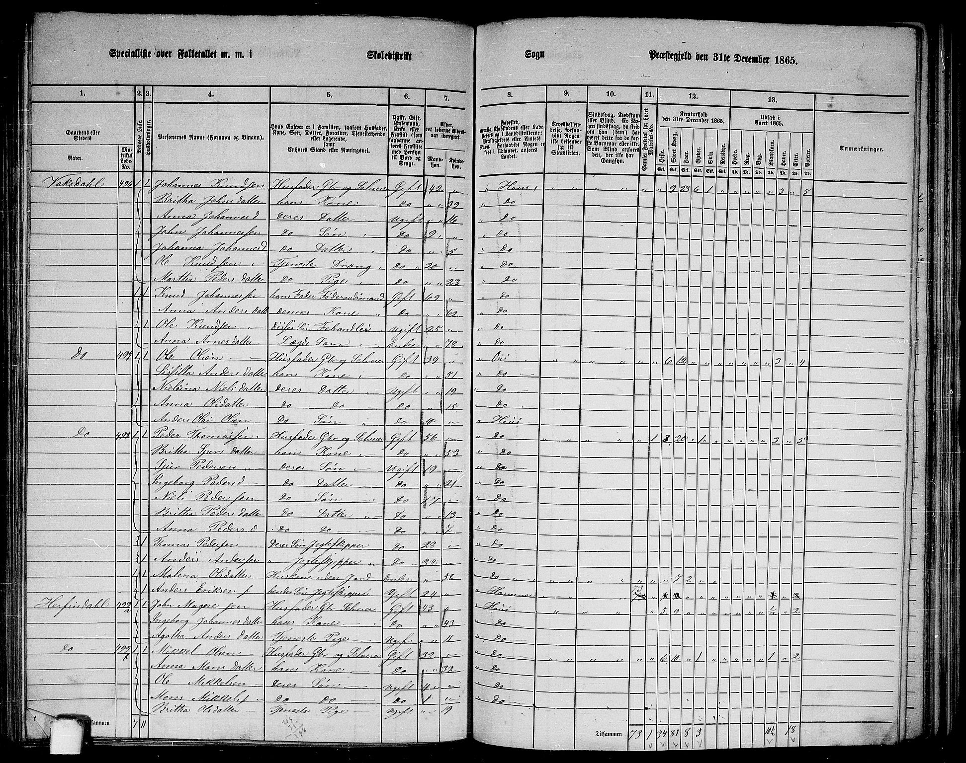 RA, 1865 census for Haus, 1865, p. 197