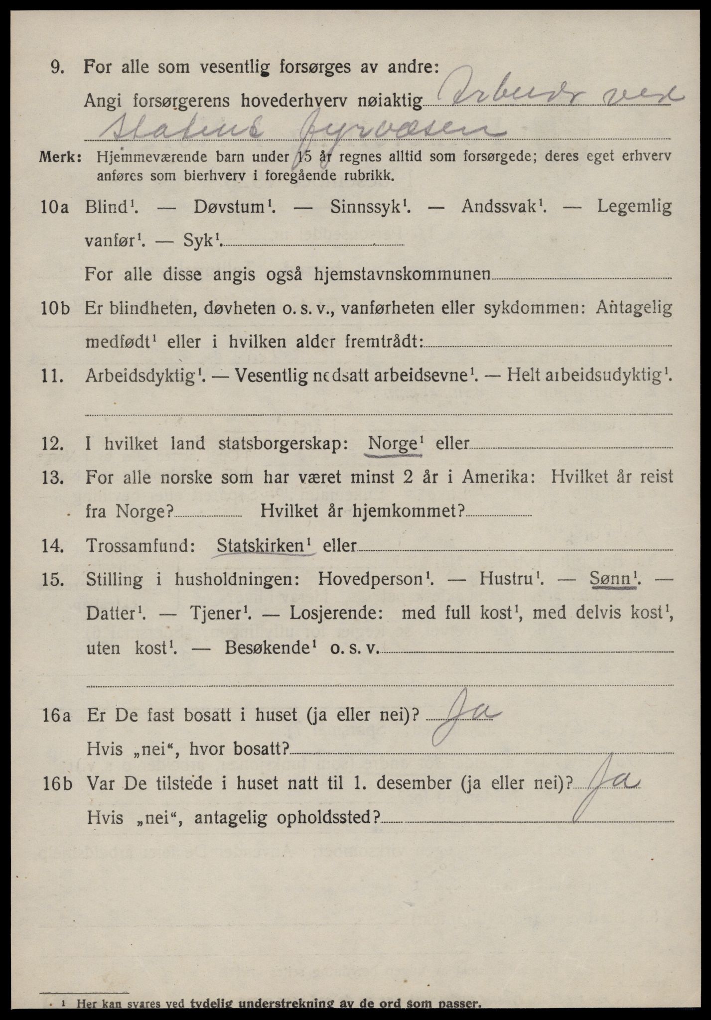 SAT, 1920 census for Volda, 1920, p. 11167