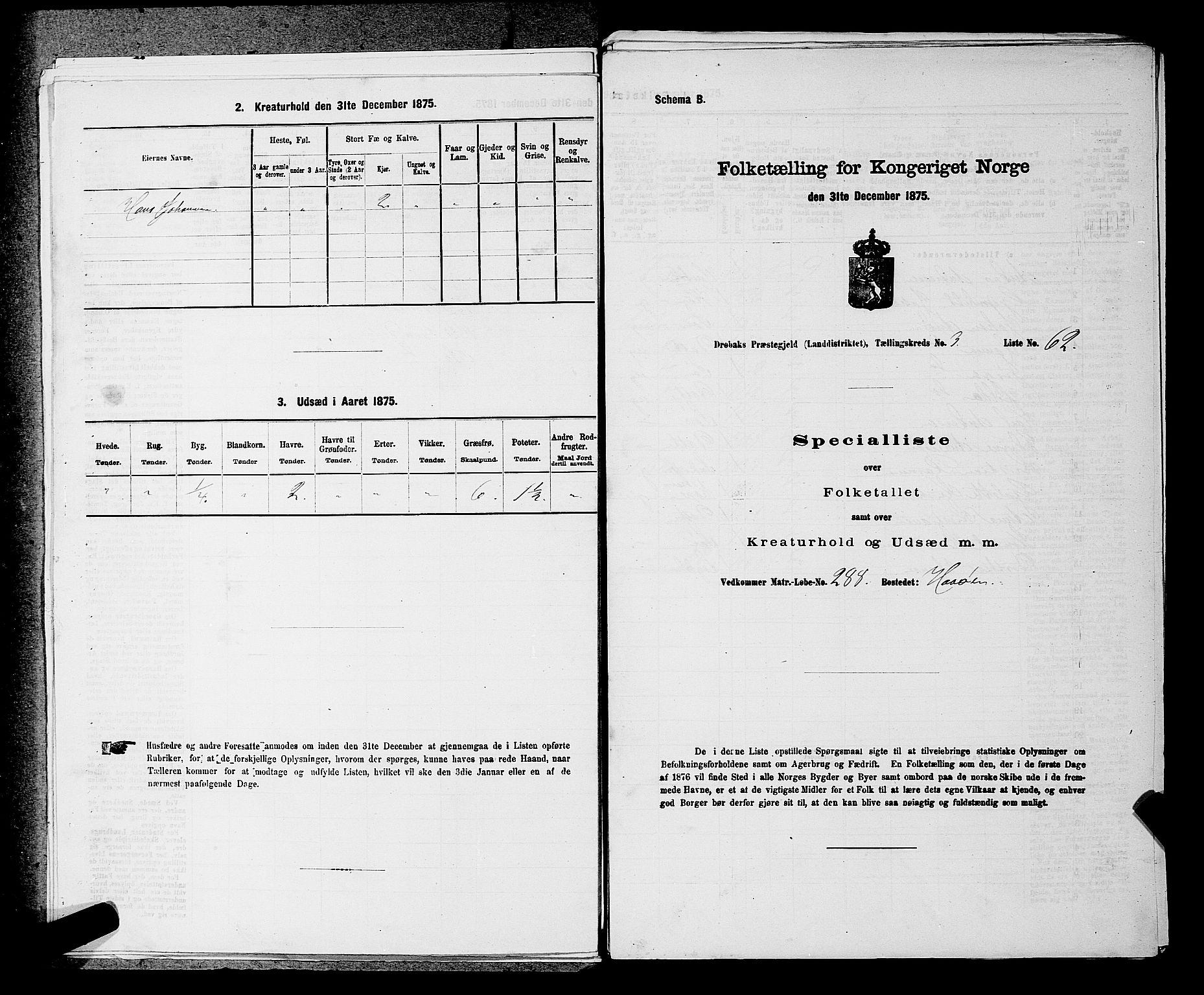 RA, 1875 census for 0215L Drøbak/Frogn, 1875, p. 490