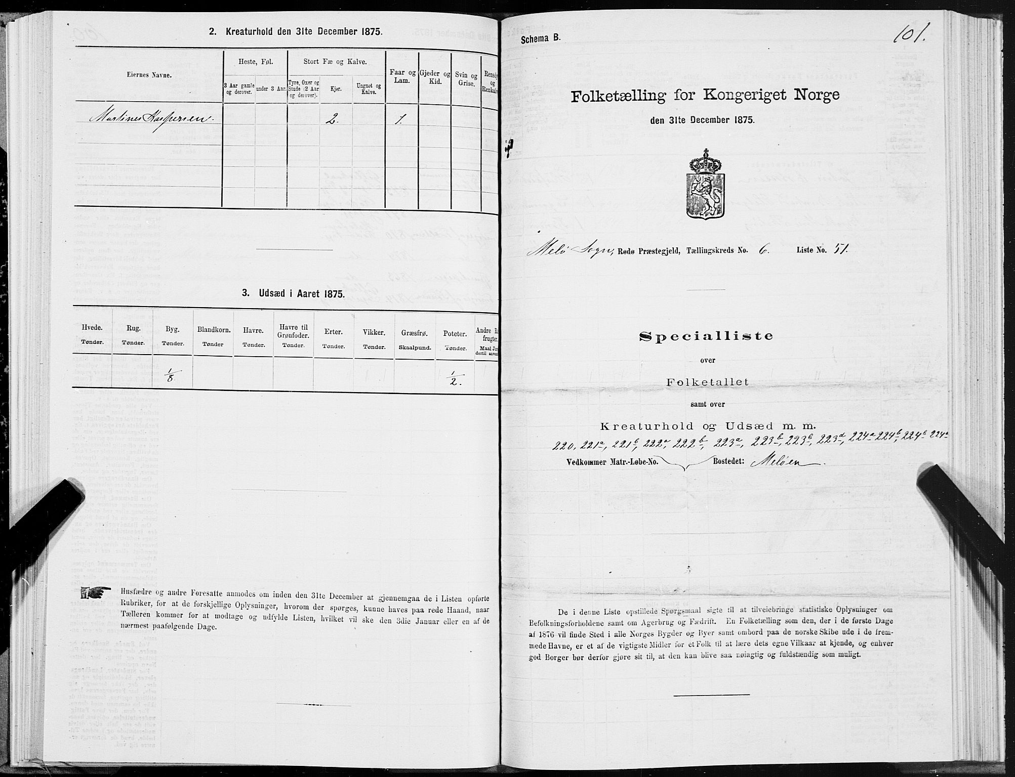 SAT, 1875 census for 1836P Rødøy, 1875, p. 3101