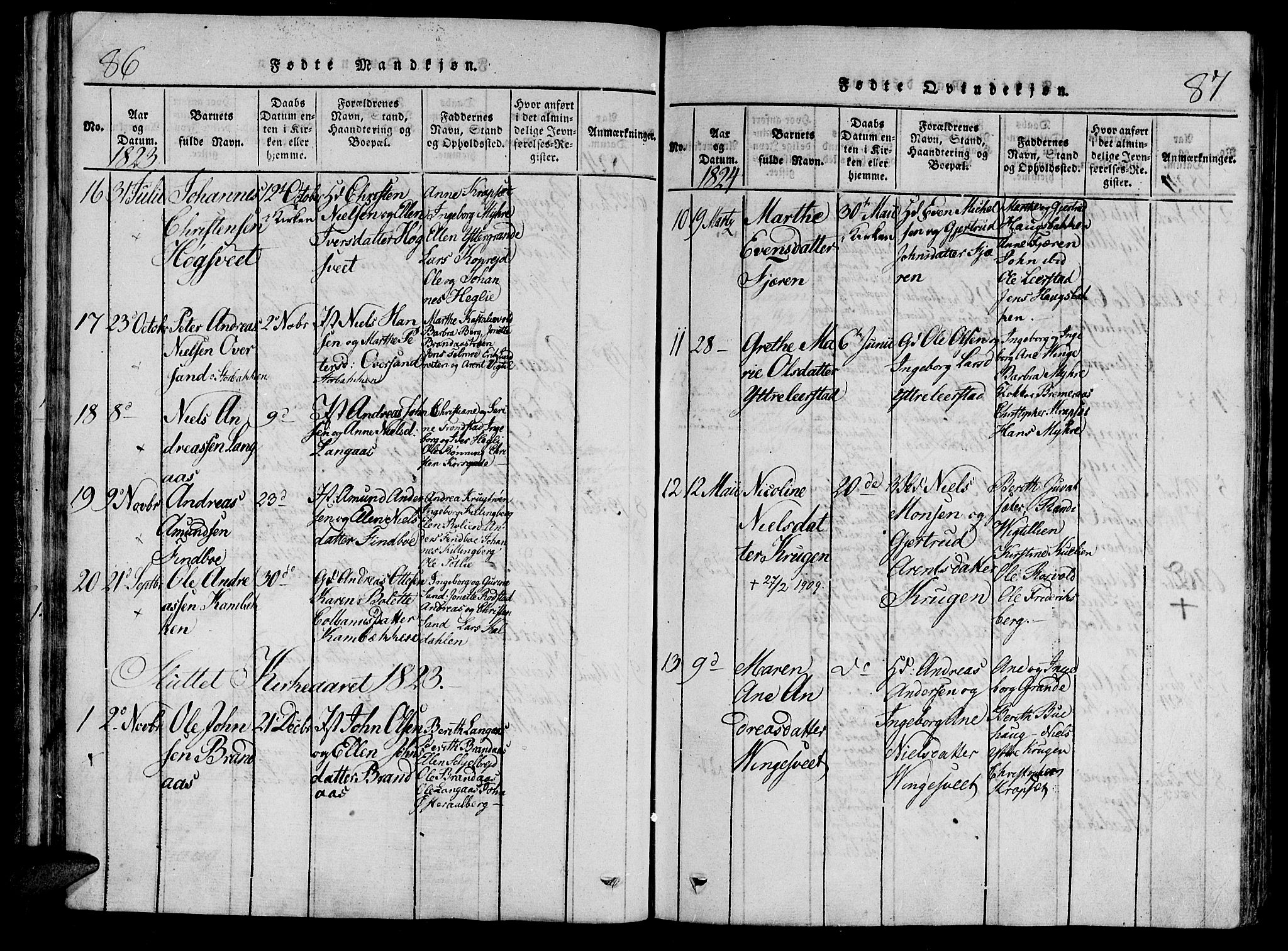 Ministerialprotokoller, klokkerbøker og fødselsregistre - Nord-Trøndelag, AV/SAT-A-1458/701/L0005: Parish register (official) no. 701A05 /1, 1816-1825, p. 86-87