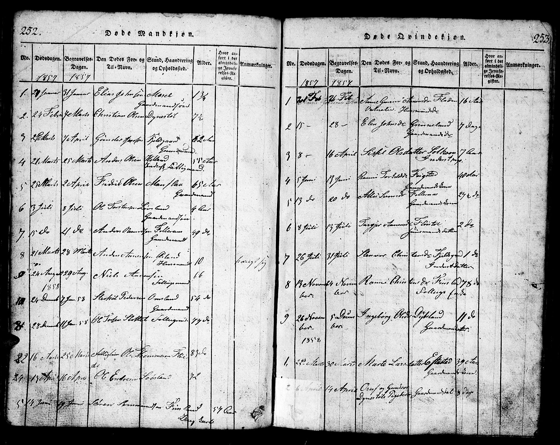 Bjelland sokneprestkontor, AV/SAK-1111-0005/F/Fb/Fbb/L0003: Parish register (copy) no. B 3, 1816-1868, p. 252-253