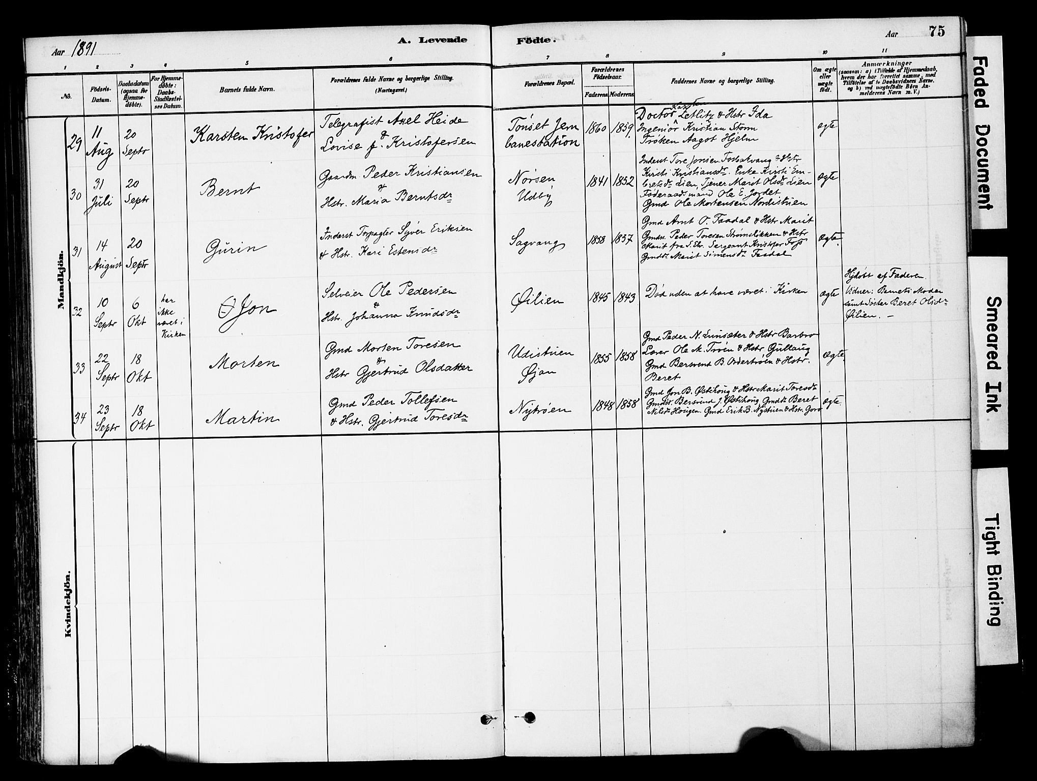 Tynset prestekontor, AV/SAH-PREST-058/H/Ha/Haa/L0022: Parish register (official) no. 22, 1880-1899, p. 75