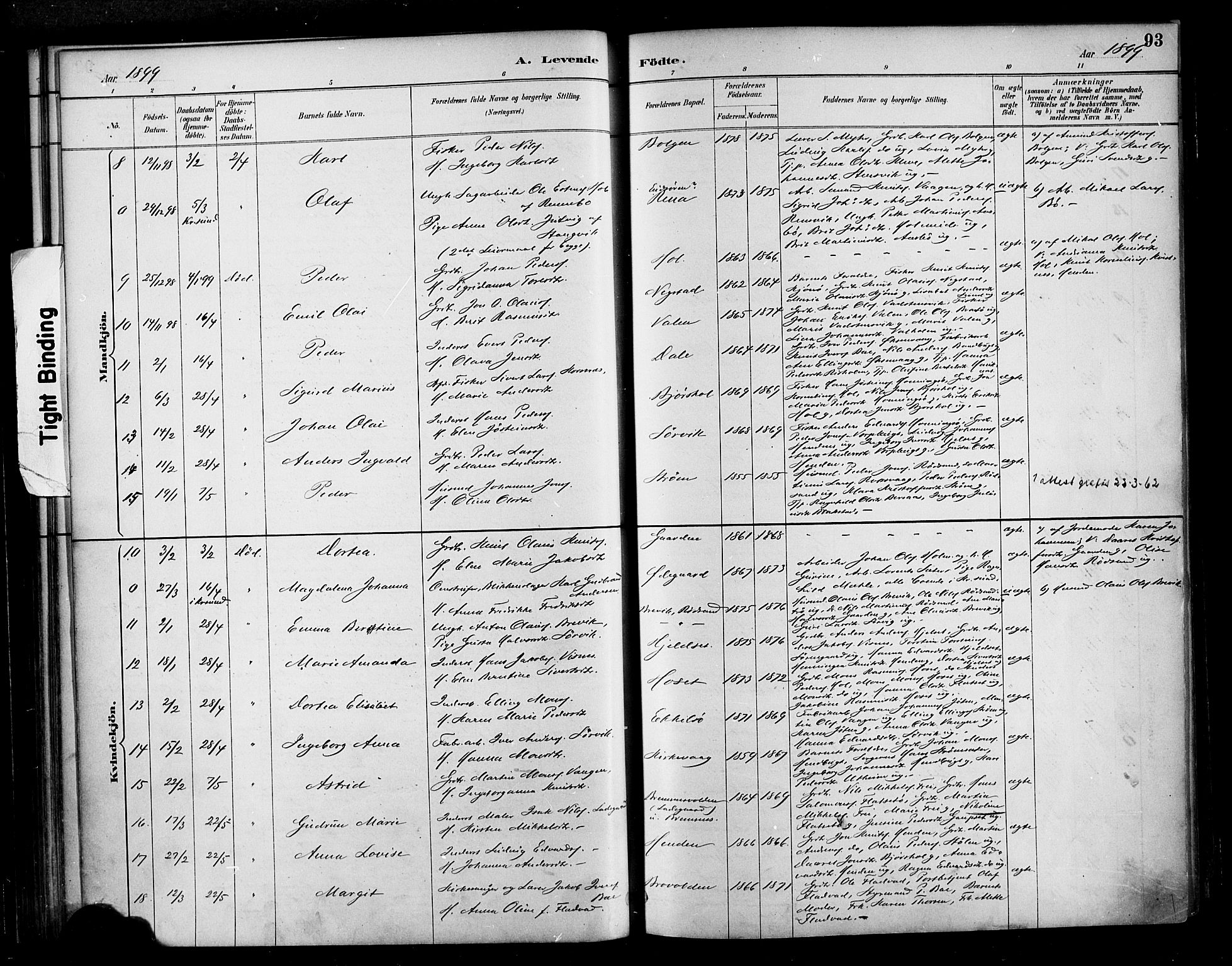 Ministerialprotokoller, klokkerbøker og fødselsregistre - Møre og Romsdal, SAT/A-1454/569/L0819: Parish register (official) no. 569A05, 1885-1899, p. 93