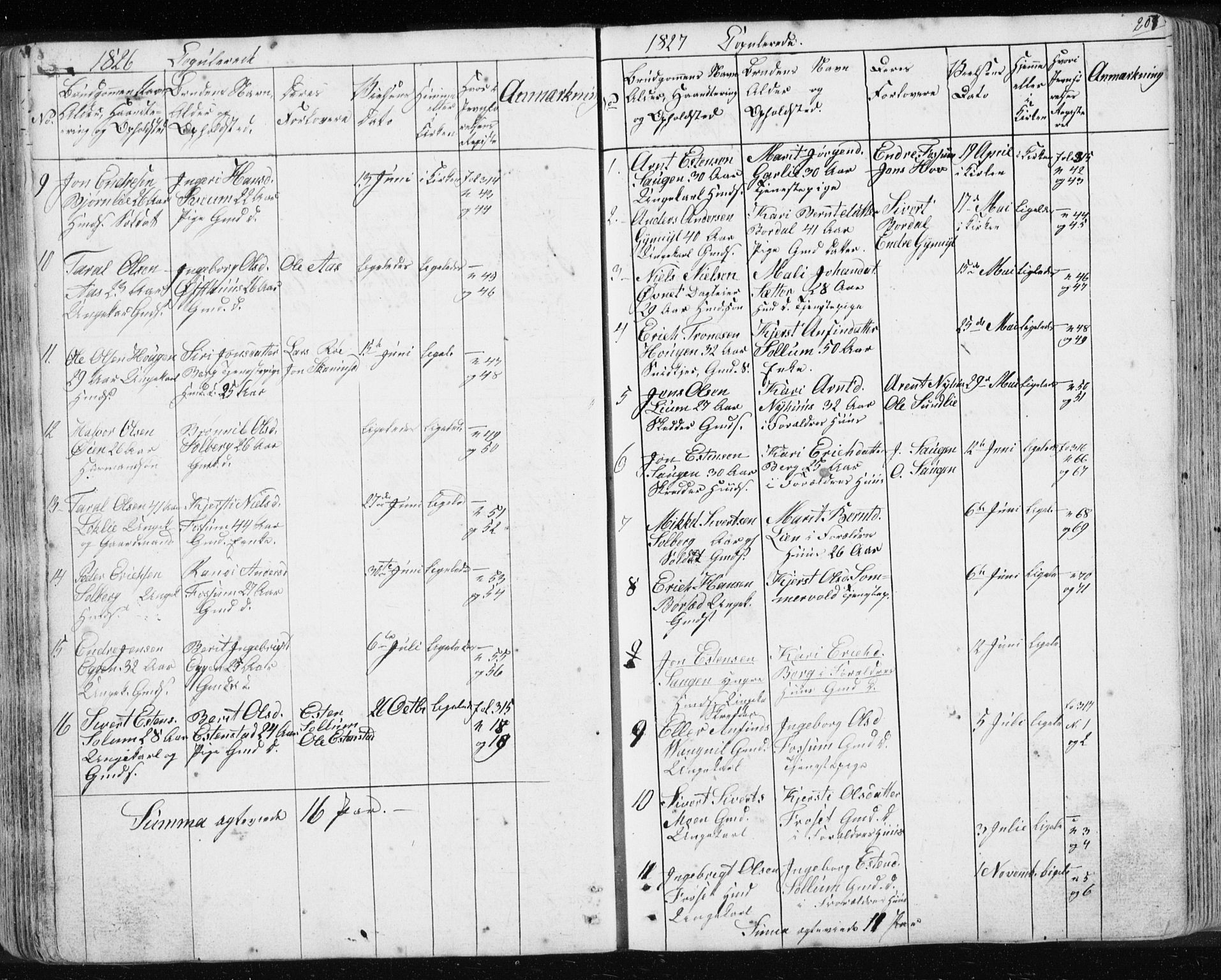 Ministerialprotokoller, klokkerbøker og fødselsregistre - Sør-Trøndelag, SAT/A-1456/689/L1043: Parish register (copy) no. 689C02, 1816-1892, p. 207