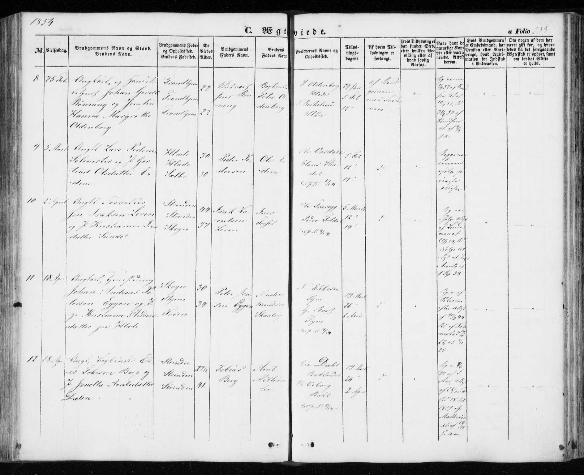 Ministerialprotokoller, klokkerbøker og fødselsregistre - Sør-Trøndelag, AV/SAT-A-1456/606/L0291: Parish register (official) no. 606A06, 1848-1856, p. 233