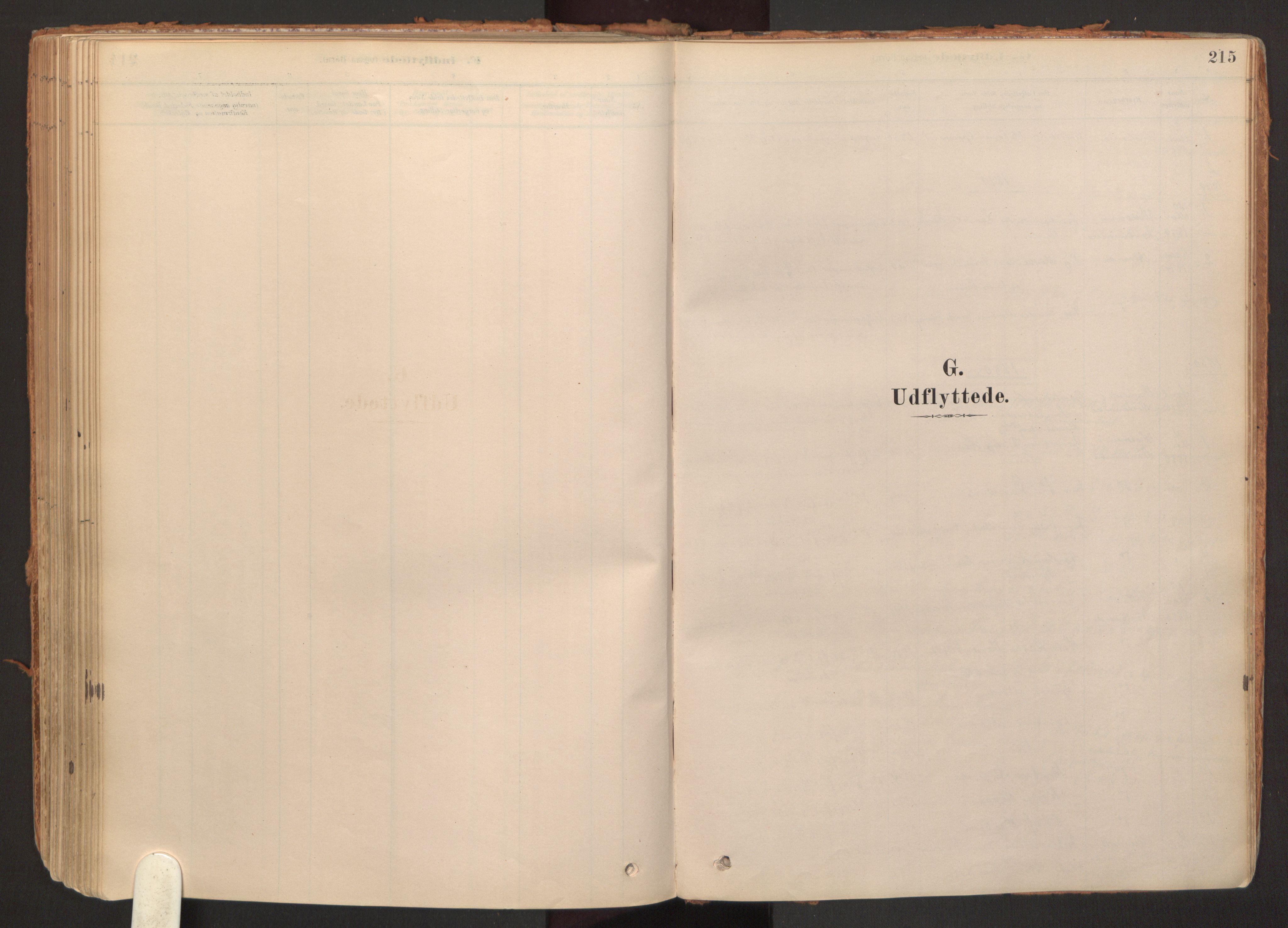 Hurdal prestekontor Kirkebøker, SAO/A-10889/F/Fb/L0003: Parish register (official) no. II 3, 1878-1920, p. 215