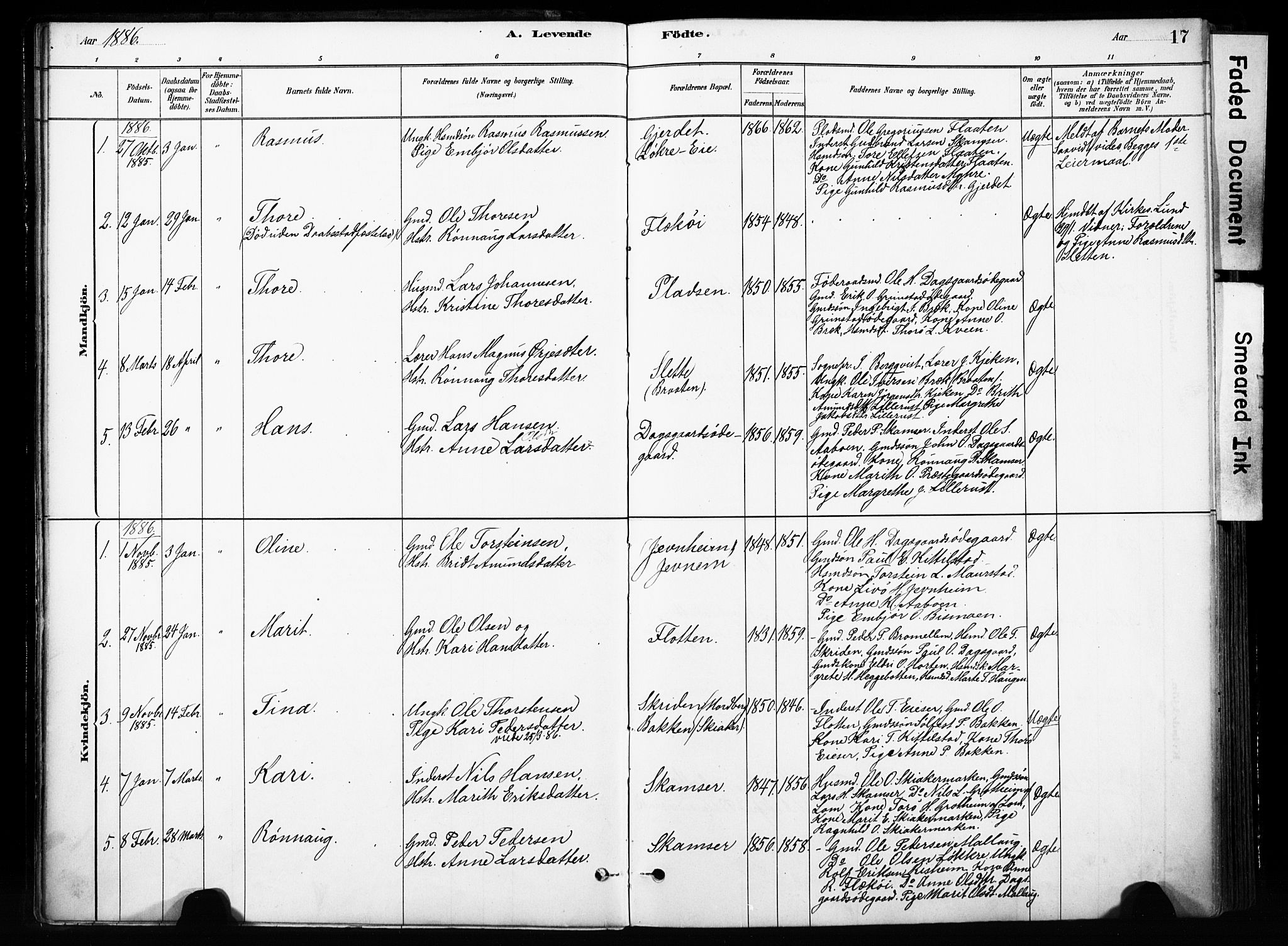 Skjåk prestekontor, SAH/PREST-072/H/Ha/Haa/L0004: Parish register (official) no. 4, 1880-1904, p. 17