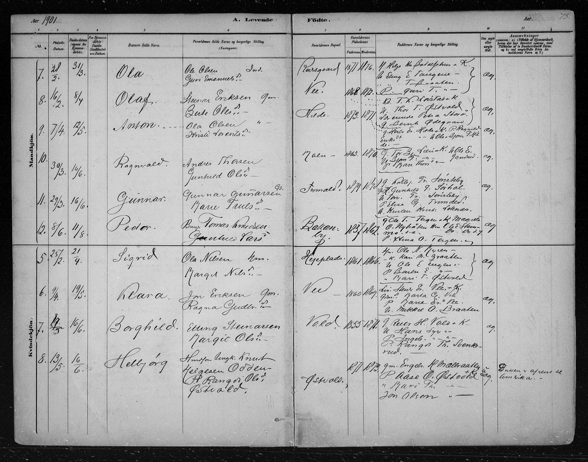 Nes kirkebøker, AV/SAKO-A-236/F/Fa/L0012: Parish register (official) no. 12, 1881-1917, p. 75